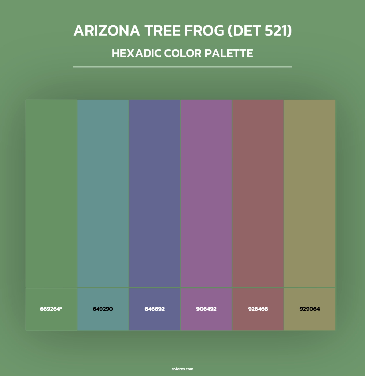 Arizona Tree Frog (DET 521) - Hexadic Color Palette