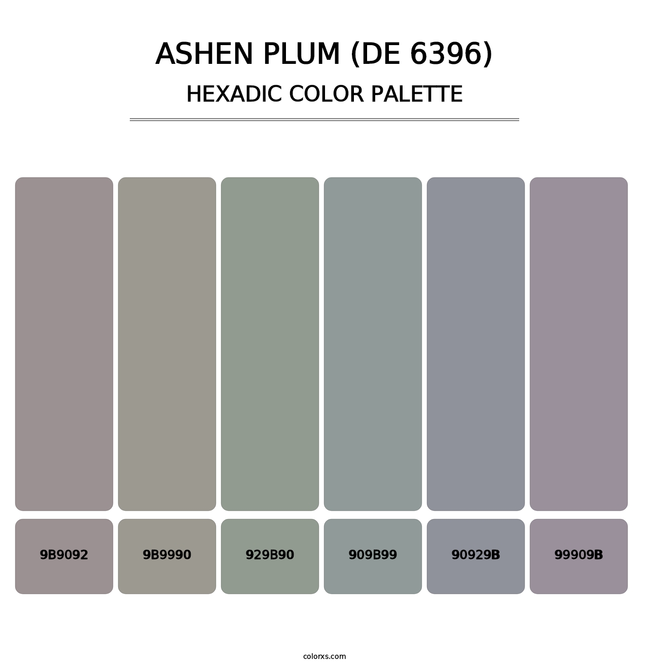 Ashen Plum (DE 6396) - Hexadic Color Palette