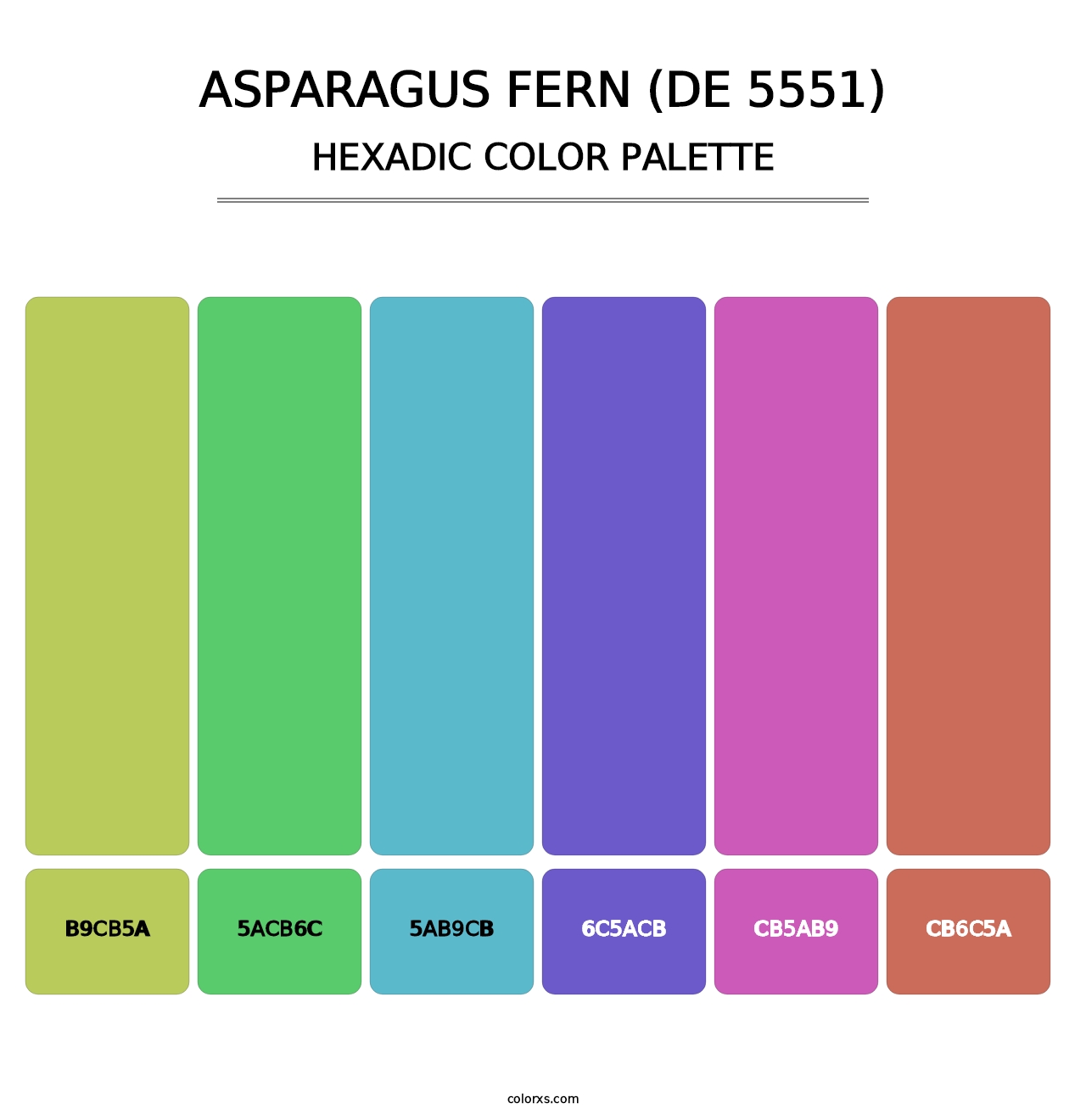 Asparagus Fern (DE 5551) - Hexadic Color Palette