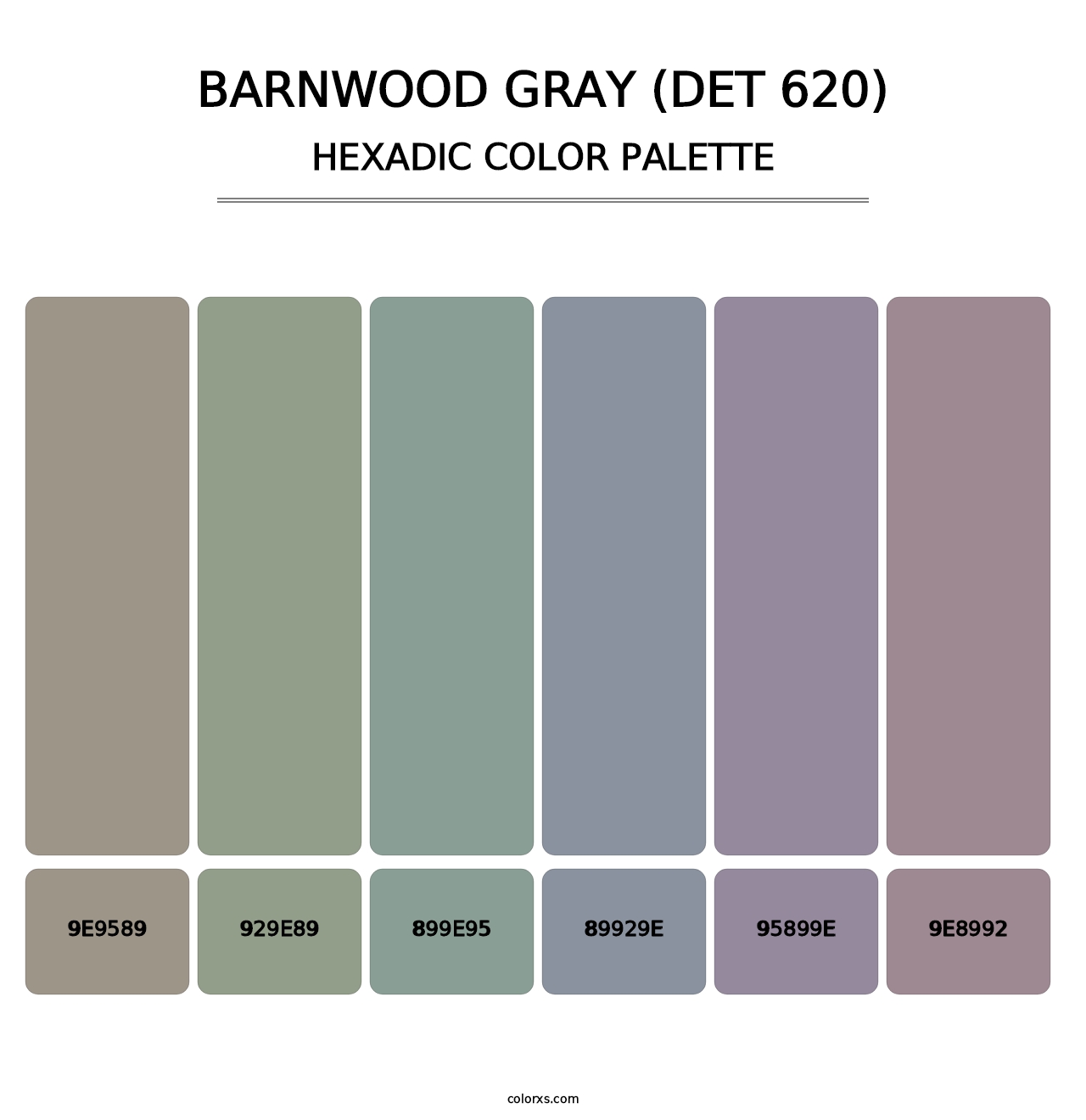 Barnwood Gray (DET 620) - Hexadic Color Palette