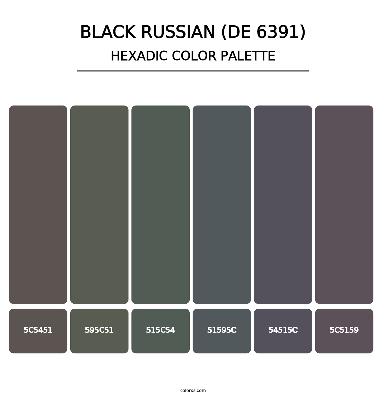 Black Russian (DE 6391) - Hexadic Color Palette