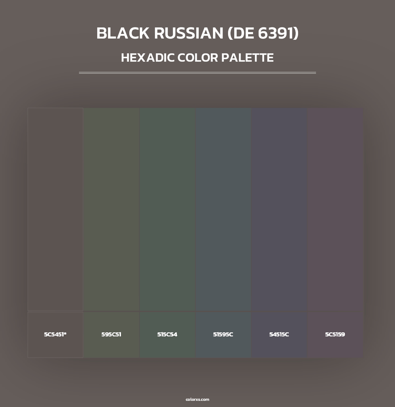 Black Russian (DE 6391) - Hexadic Color Palette