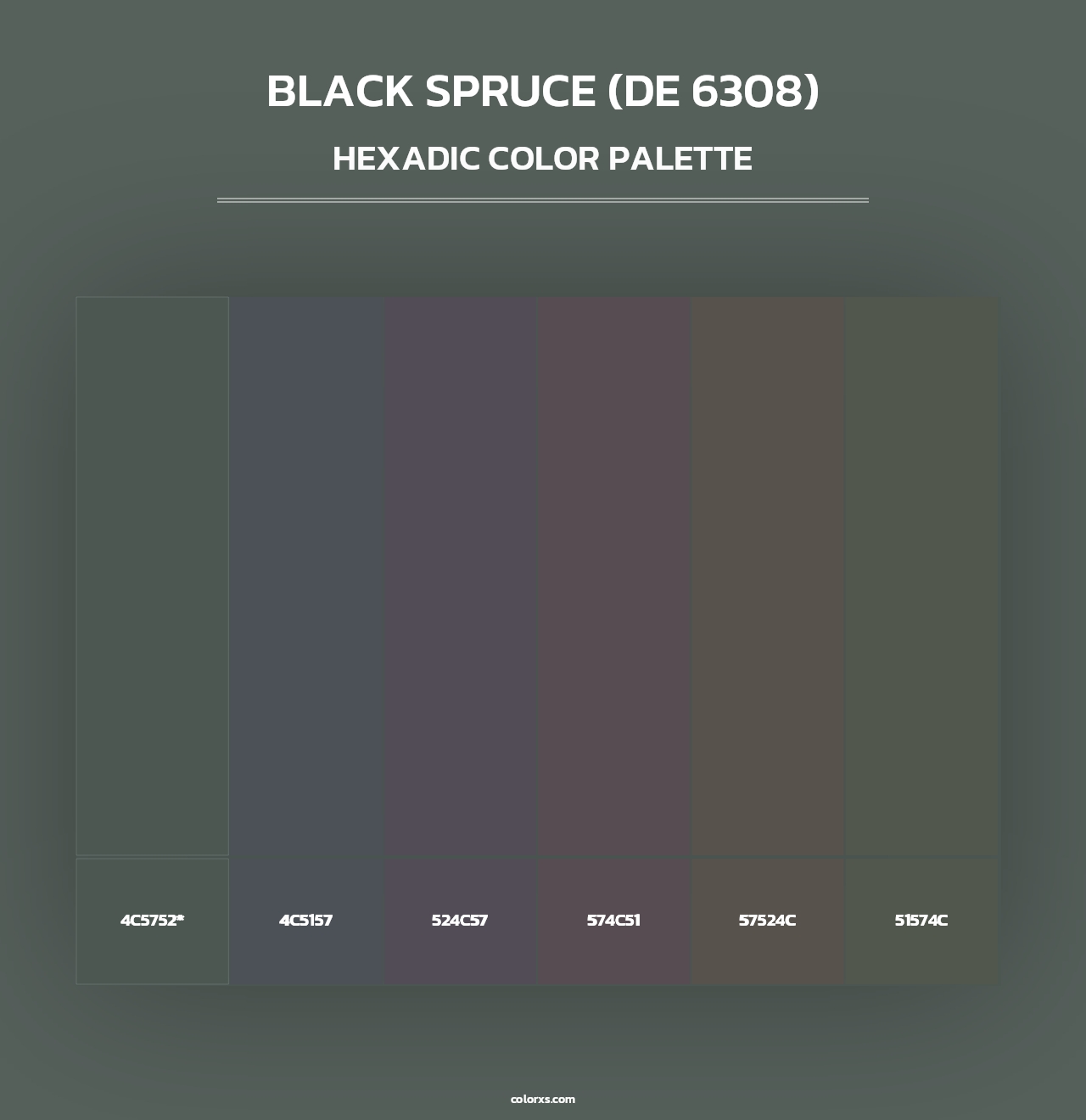 Black Spruce (DE 6308) - Hexadic Color Palette