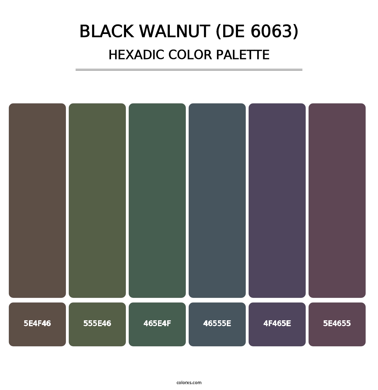 Black Walnut (DE 6063) - Hexadic Color Palette