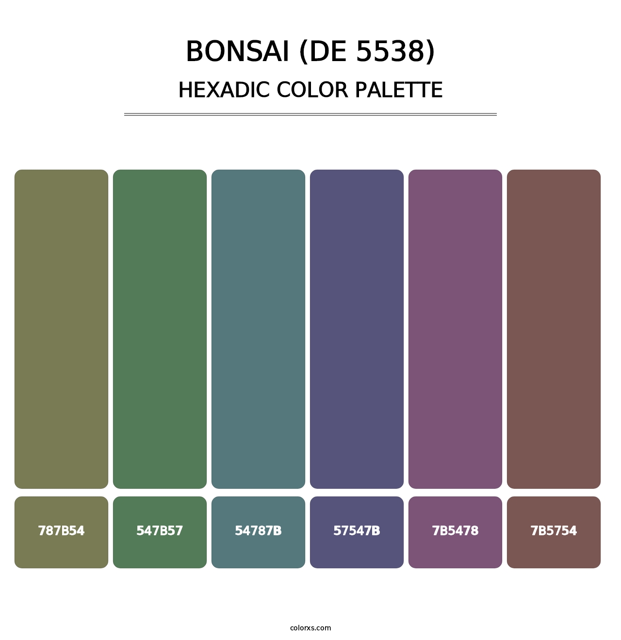Bonsai (DE 5538) - Hexadic Color Palette