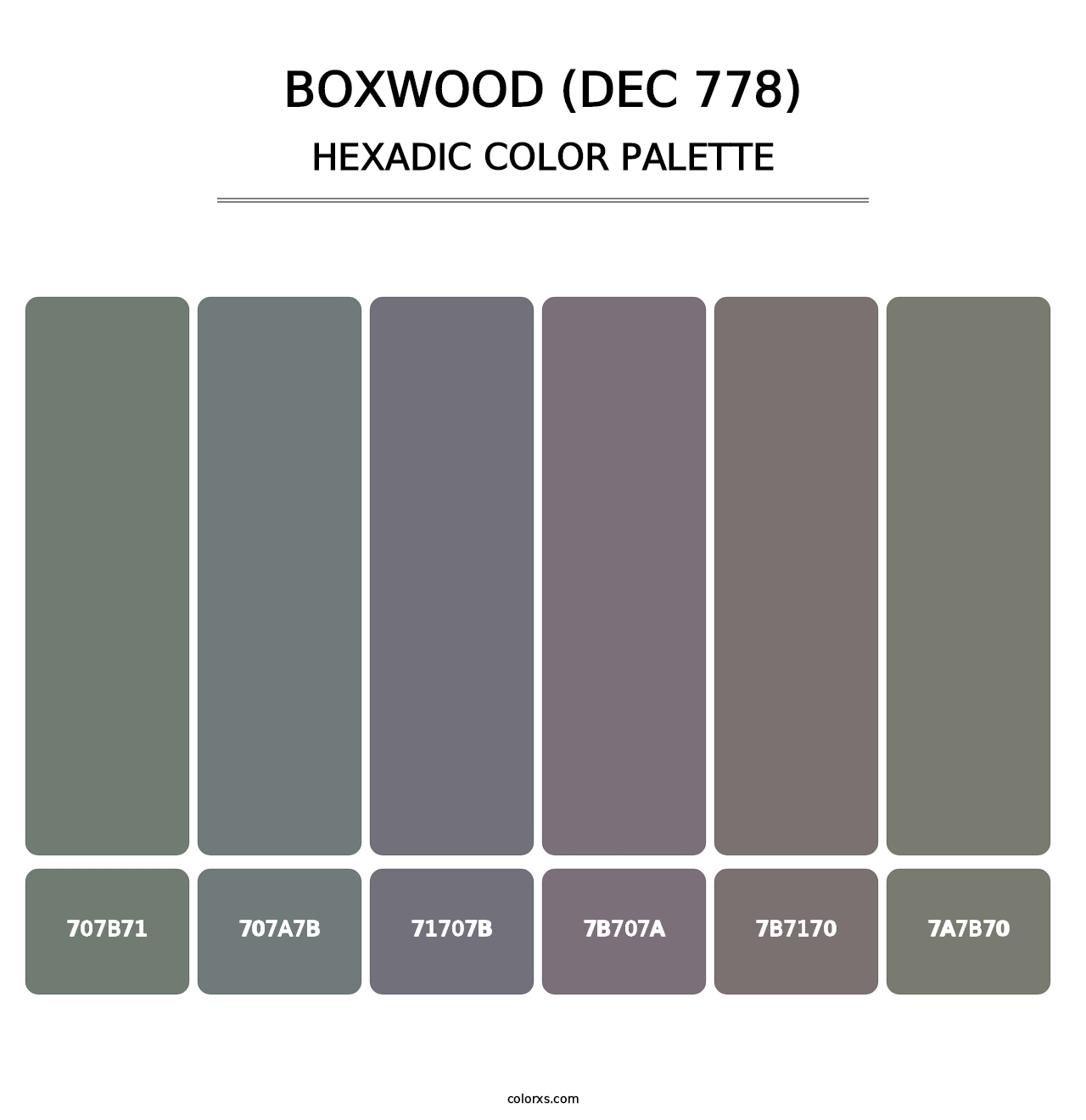 Boxwood (DEC 778) - Hexadic Color Palette