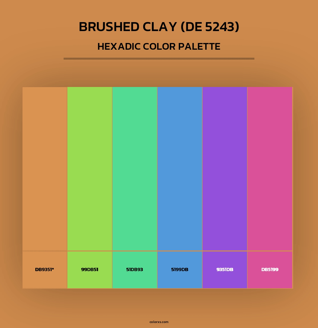 Brushed Clay (DE 5243) - Hexadic Color Palette