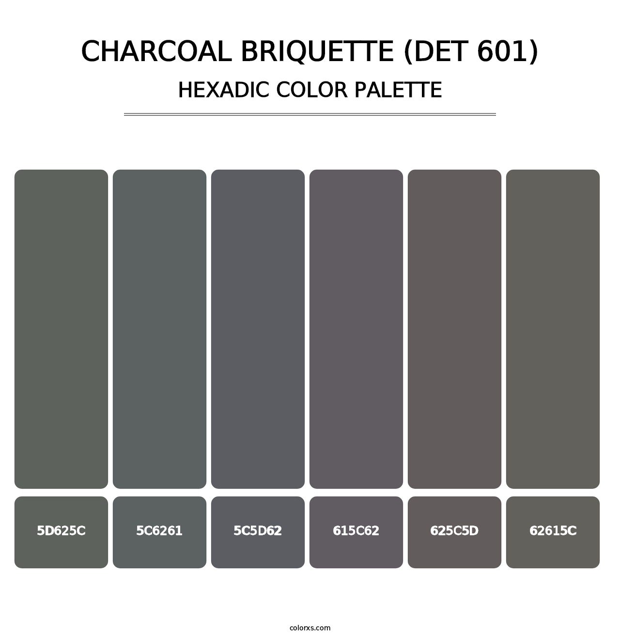 Charcoal Briquette (DET 601) - Hexadic Color Palette