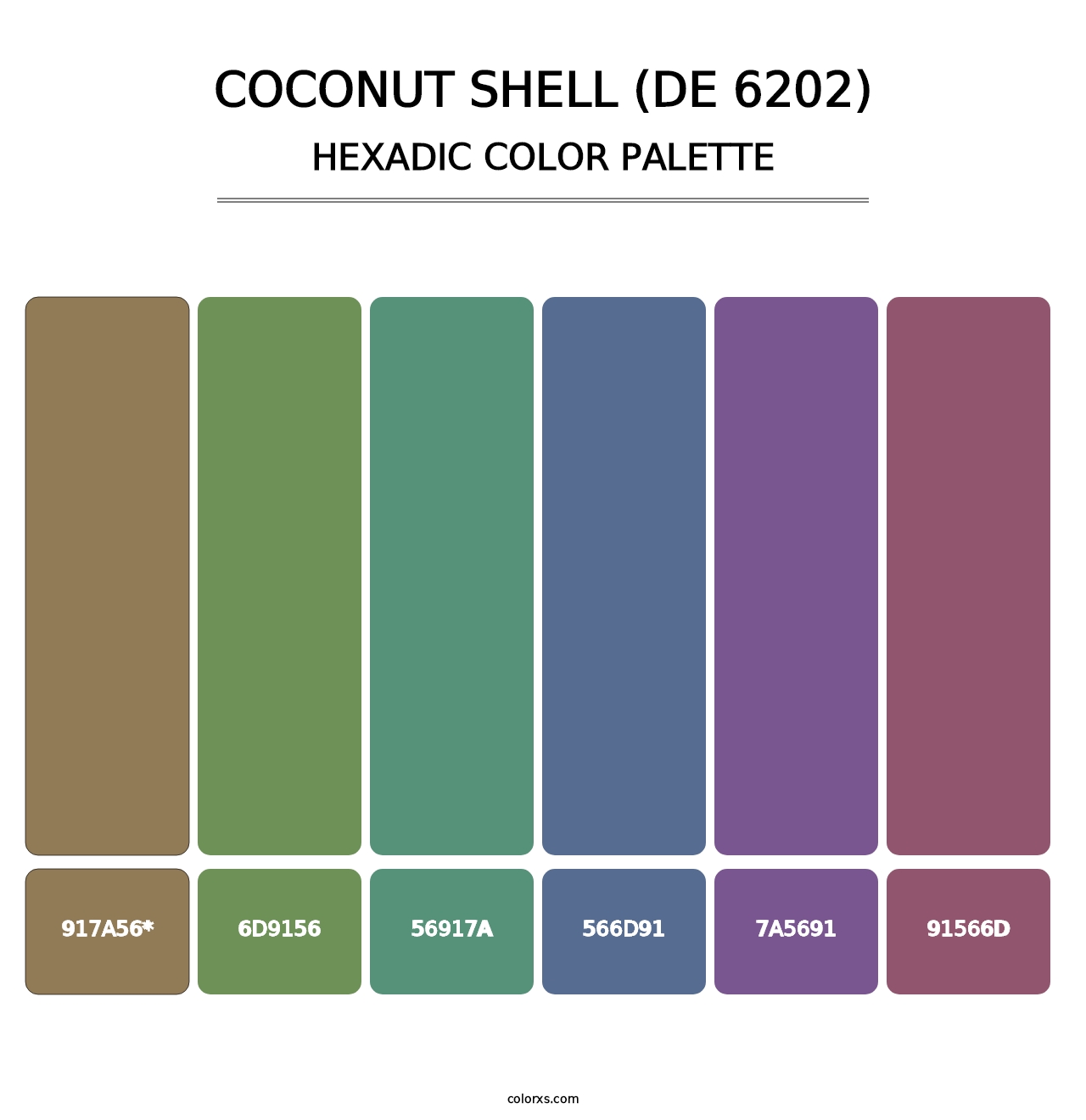 Coconut Shell (DE 6202) - Hexadic Color Palette