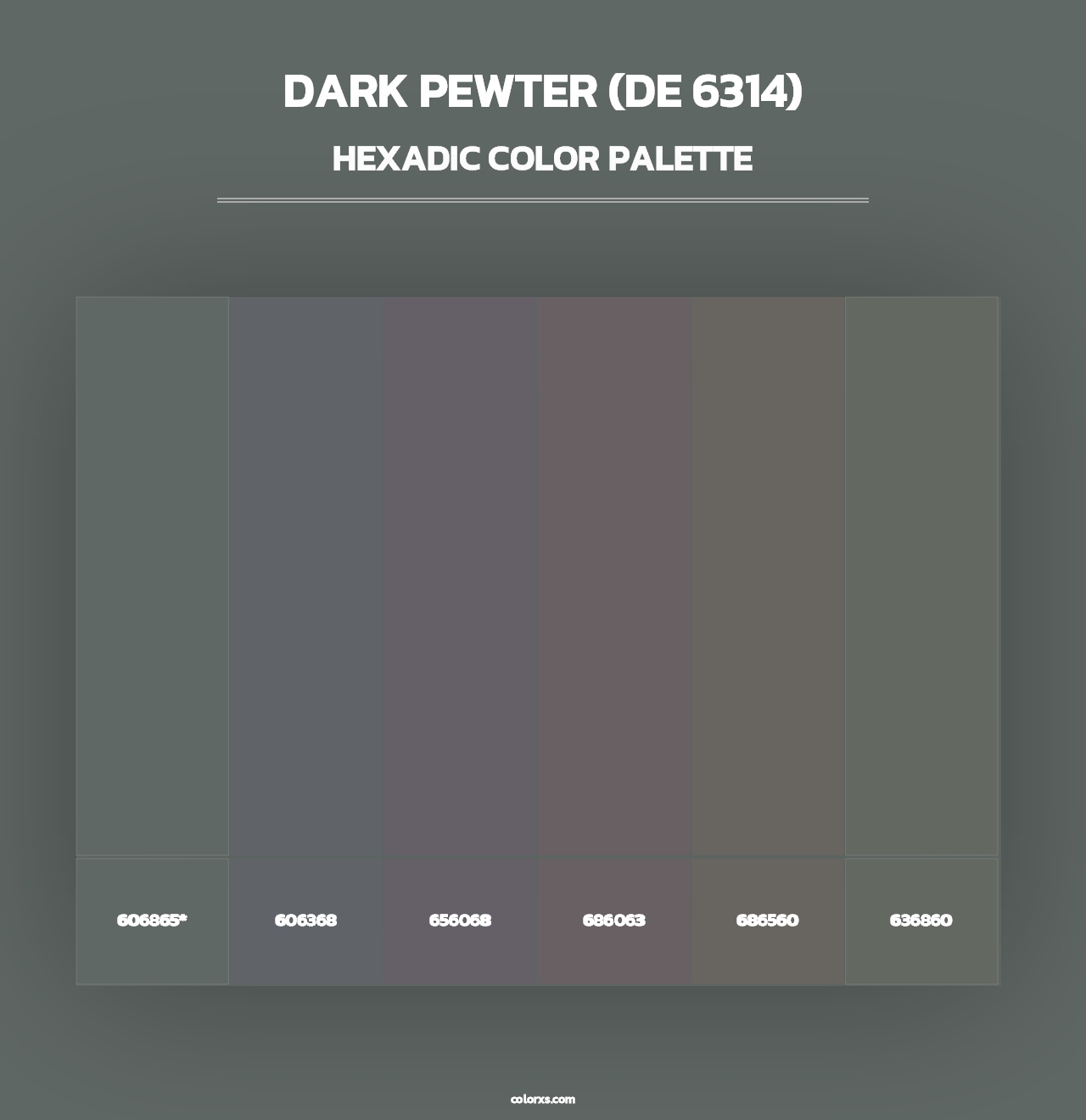 Dark Pewter (DE 6314) - Hexadic Color Palette
