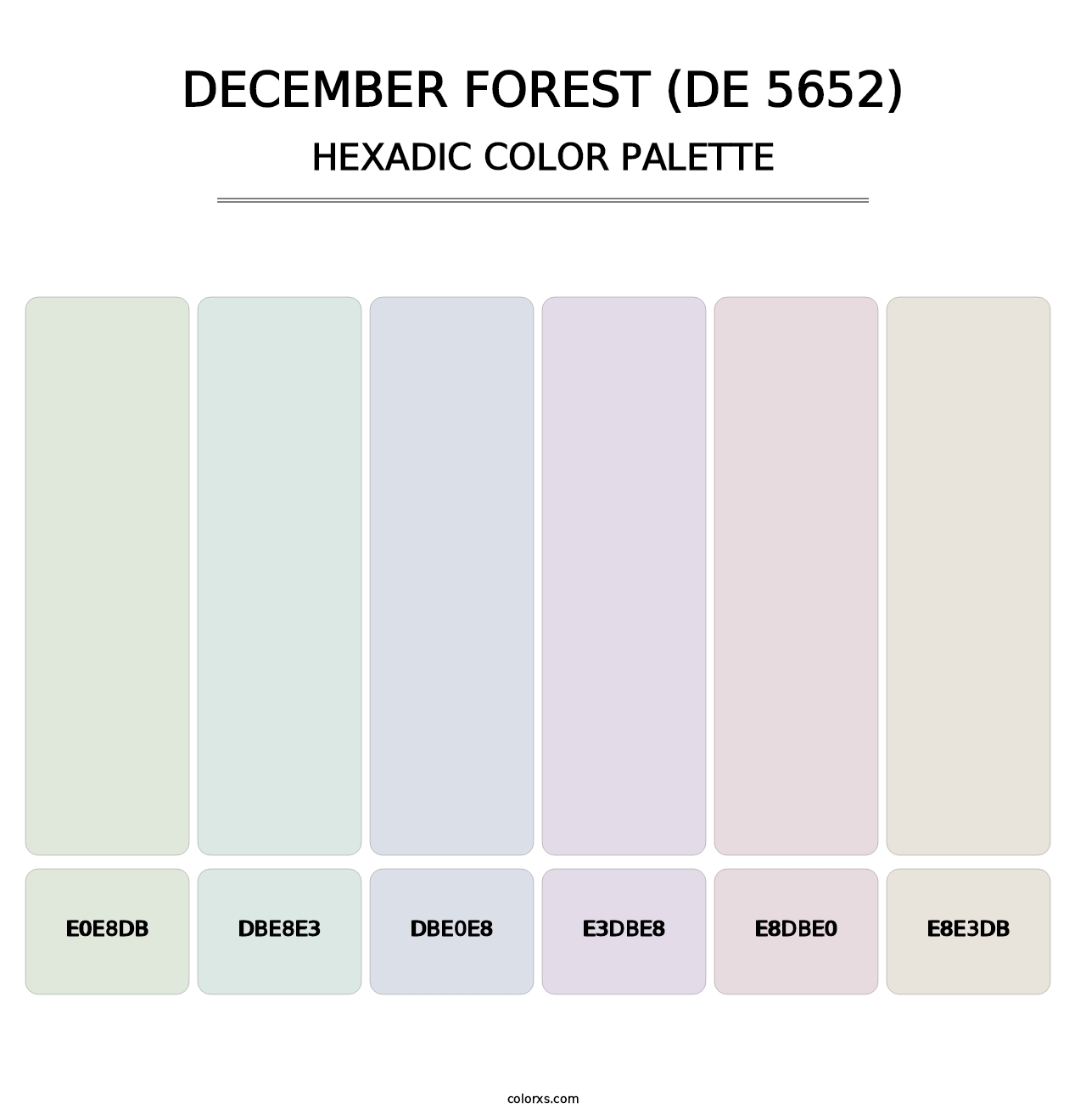 December Forest (DE 5652) - Hexadic Color Palette