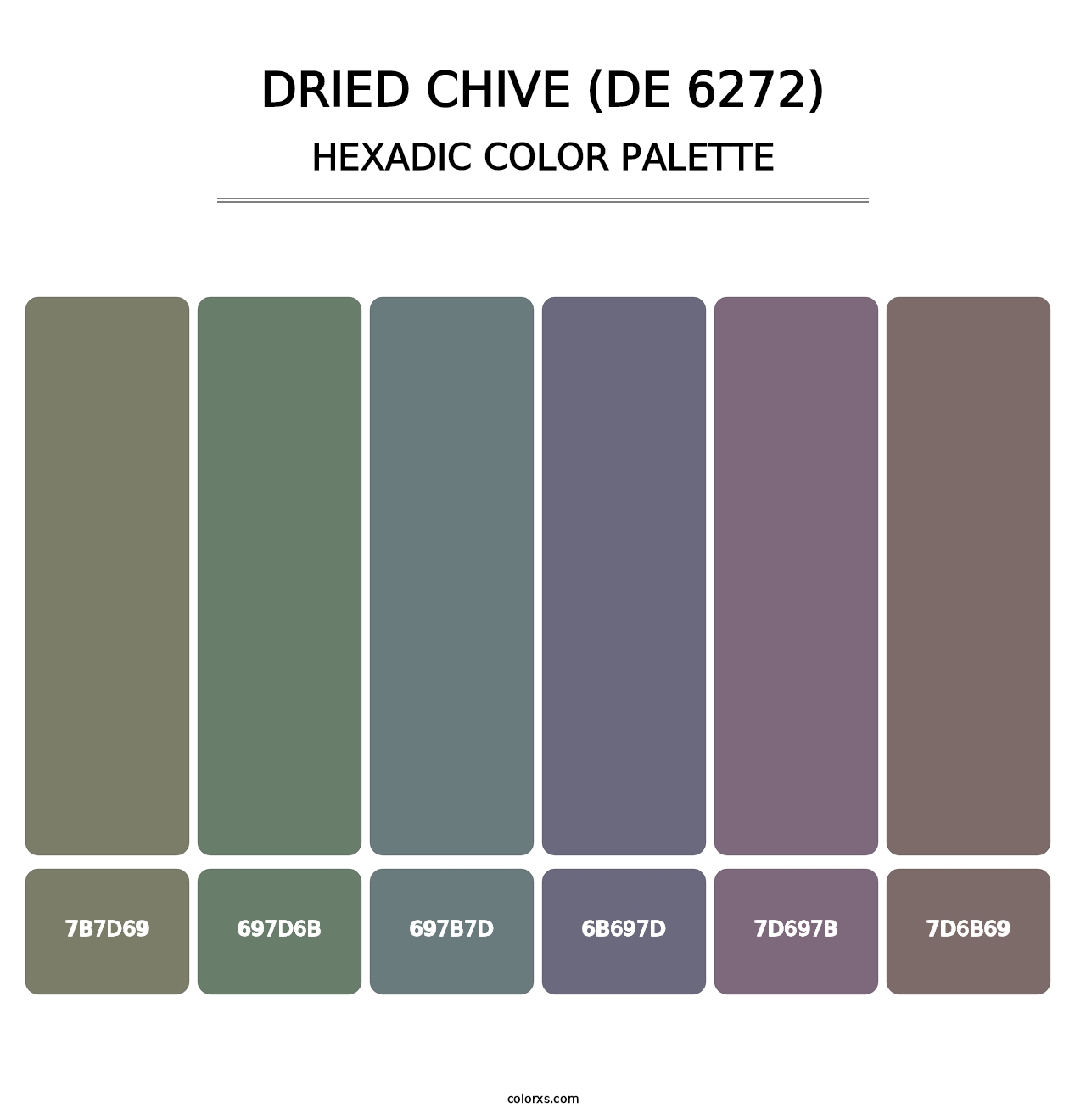 Dried Chive (DE 6272) - Hexadic Color Palette