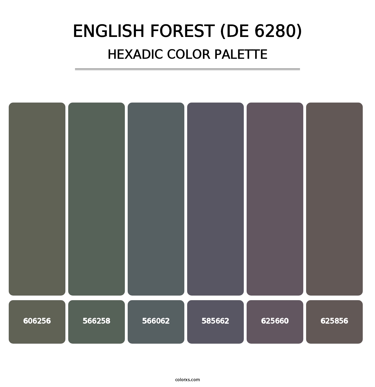 English Forest (DE 6280) - Hexadic Color Palette