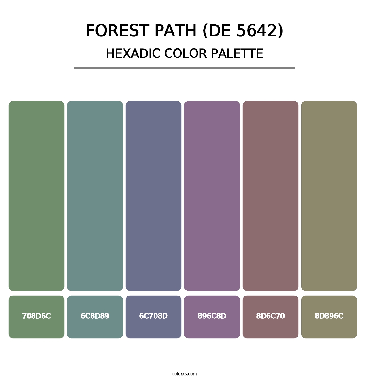 Forest Path (DE 5642) - Hexadic Color Palette