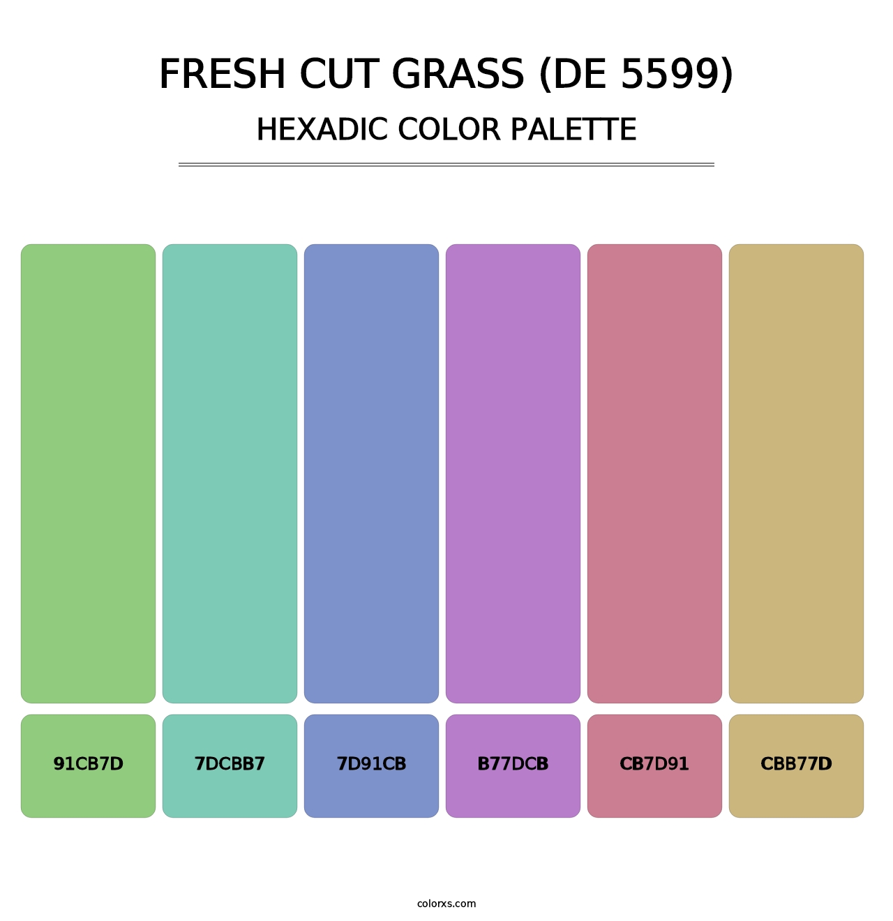 Fresh Cut Grass (DE 5599) - Hexadic Color Palette