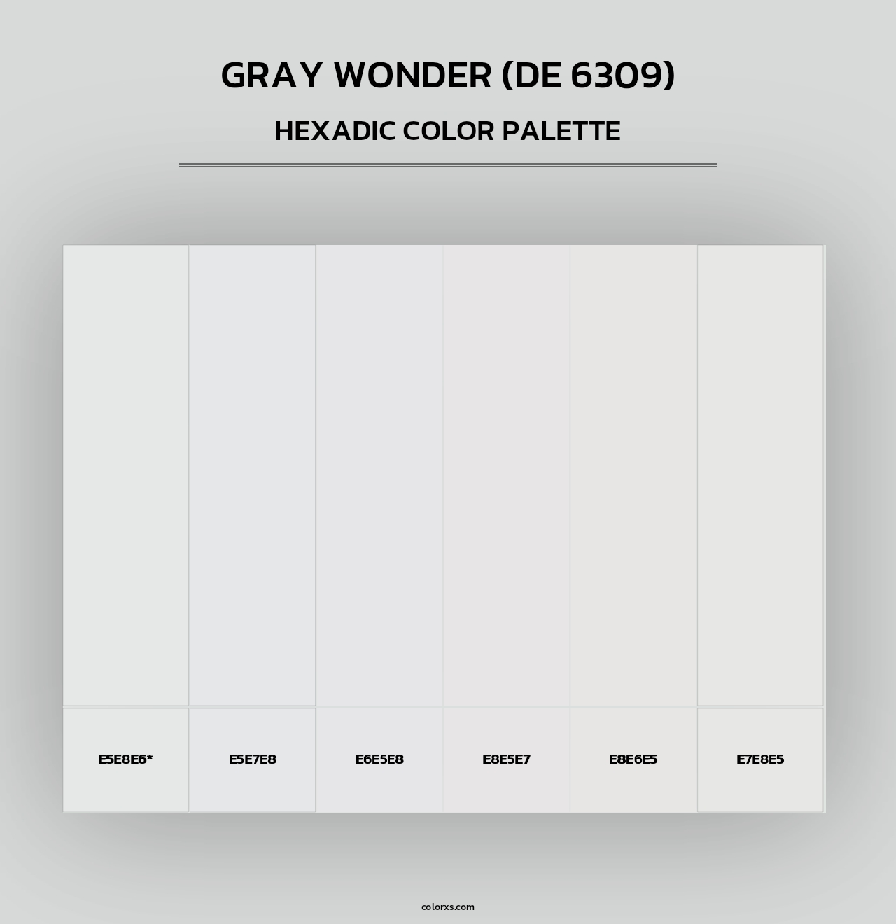 Gray Wonder (DE 6309) - Hexadic Color Palette