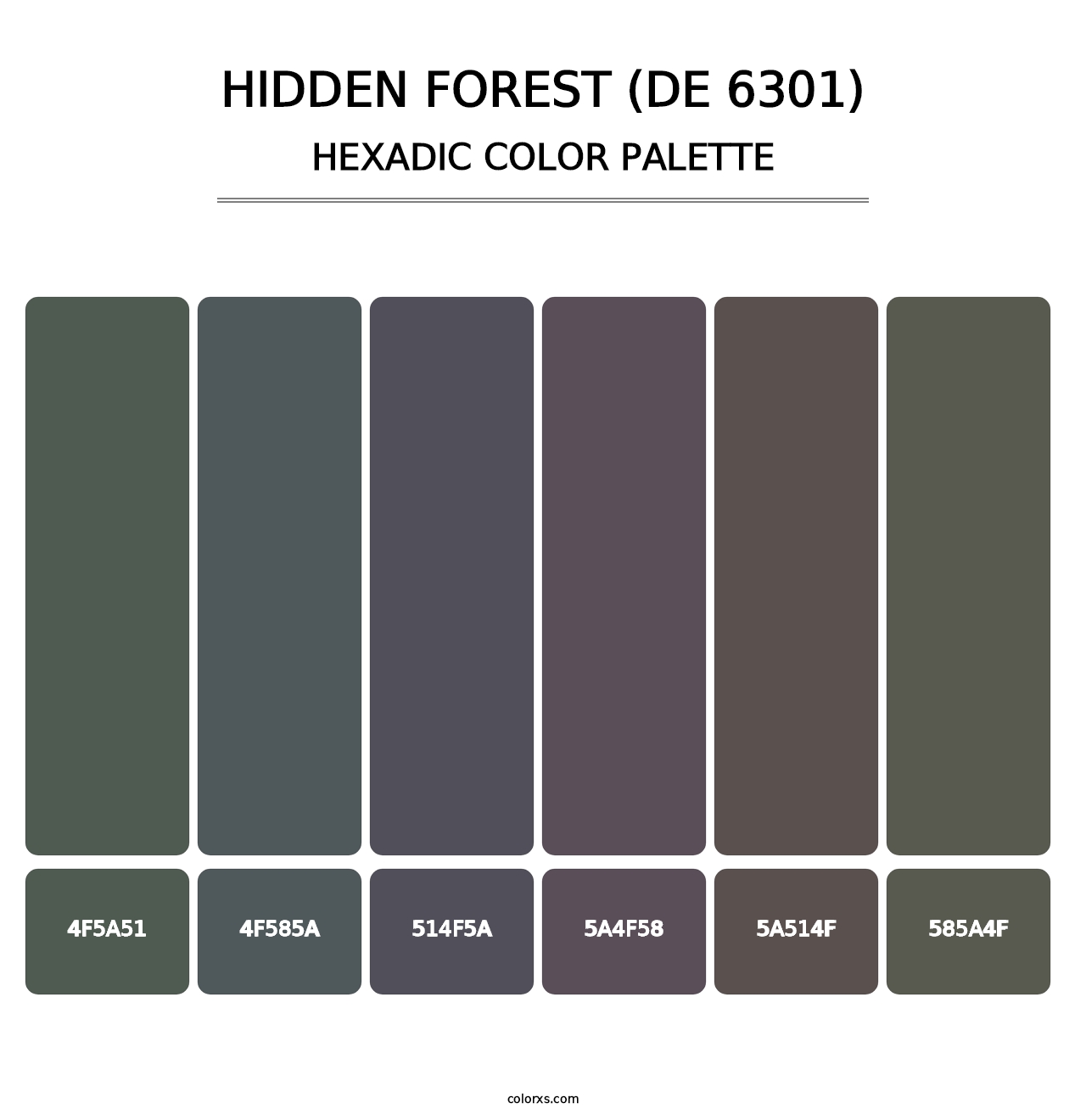 Hidden Forest (DE 6301) - Hexadic Color Palette