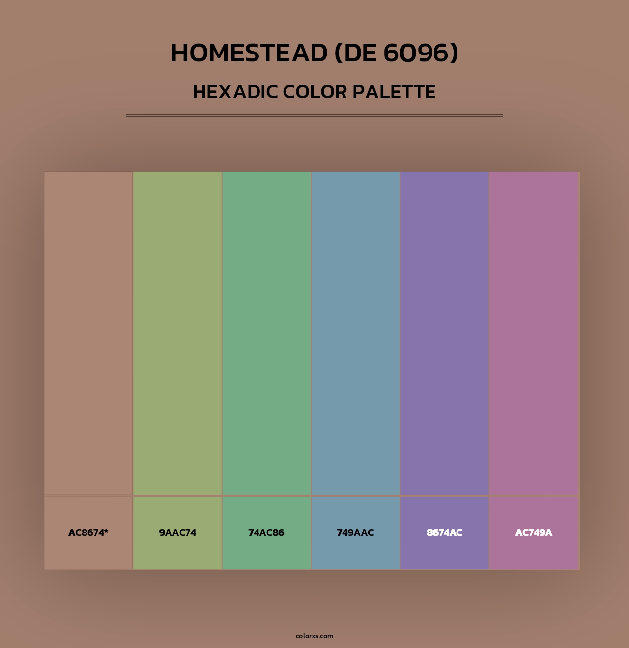 Homestead (DE 6096) - Hexadic Color Palette