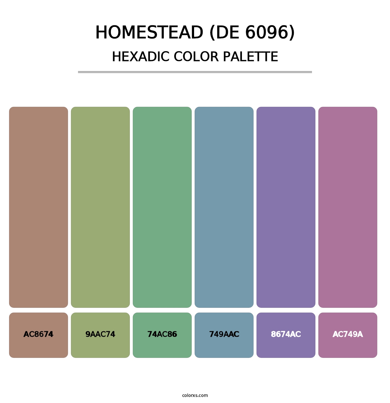 Homestead (DE 6096) - Hexadic Color Palette