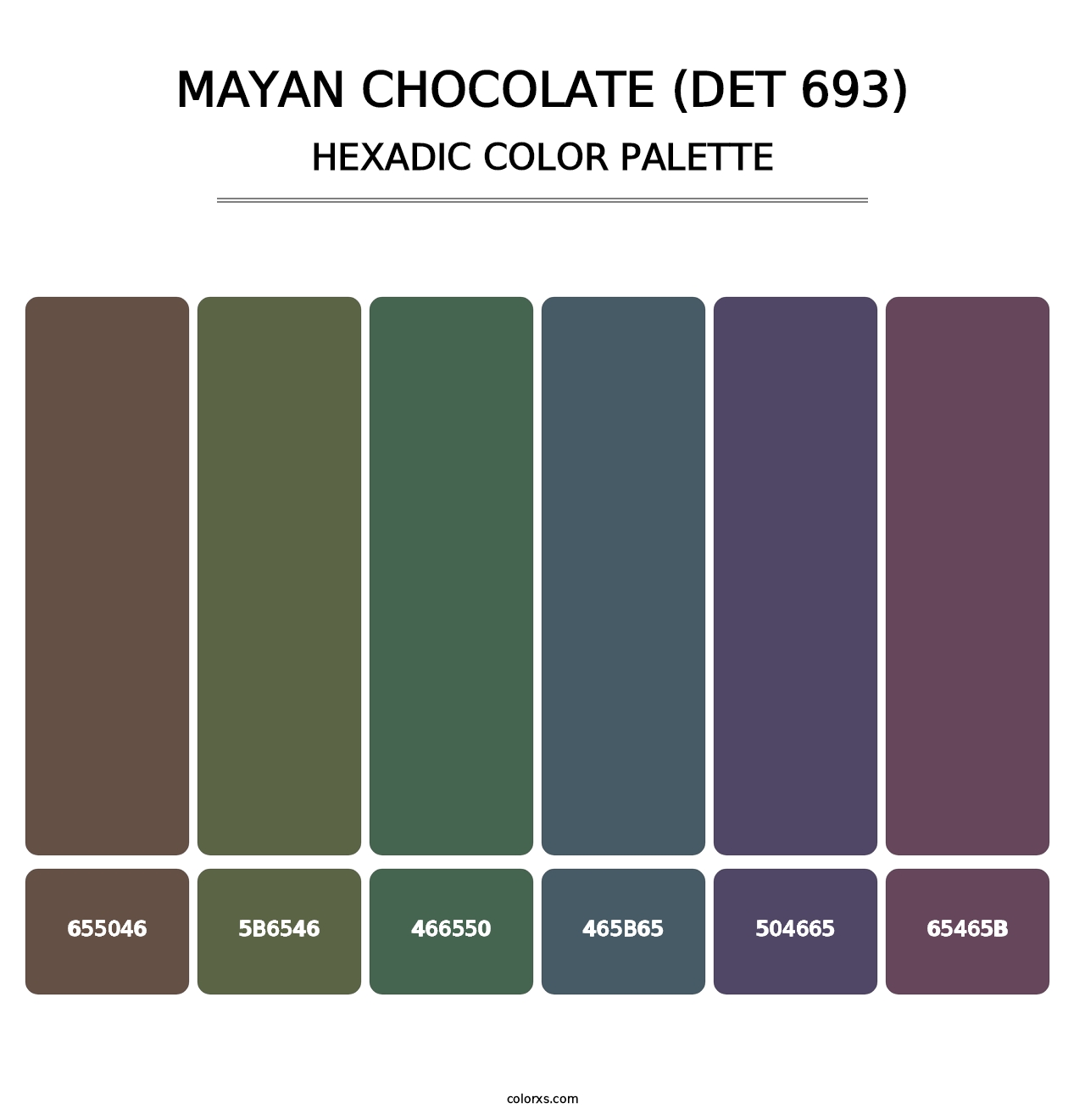 Mayan Chocolate (DET 693) - Hexadic Color Palette