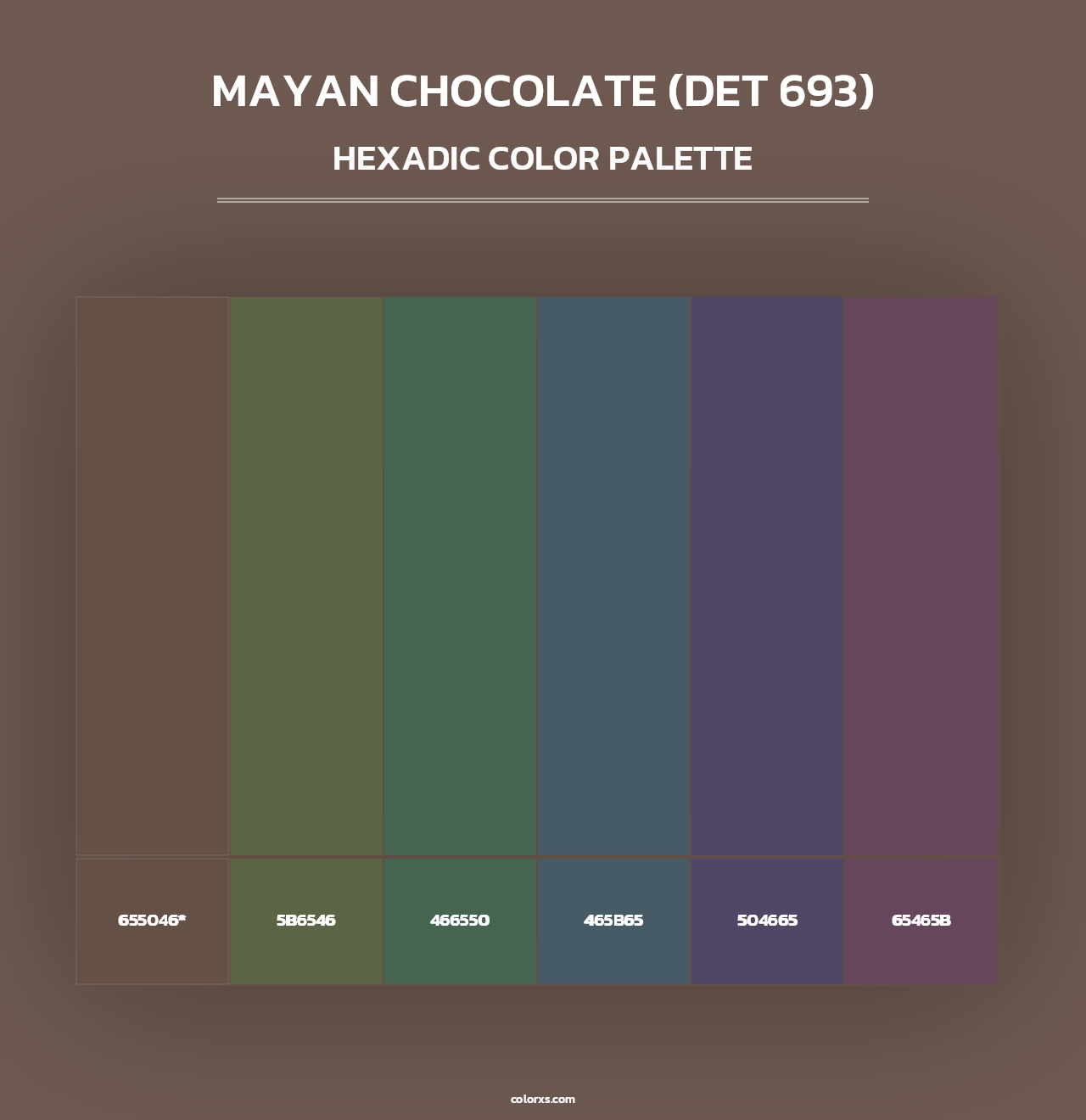 Mayan Chocolate (DET 693) - Hexadic Color Palette