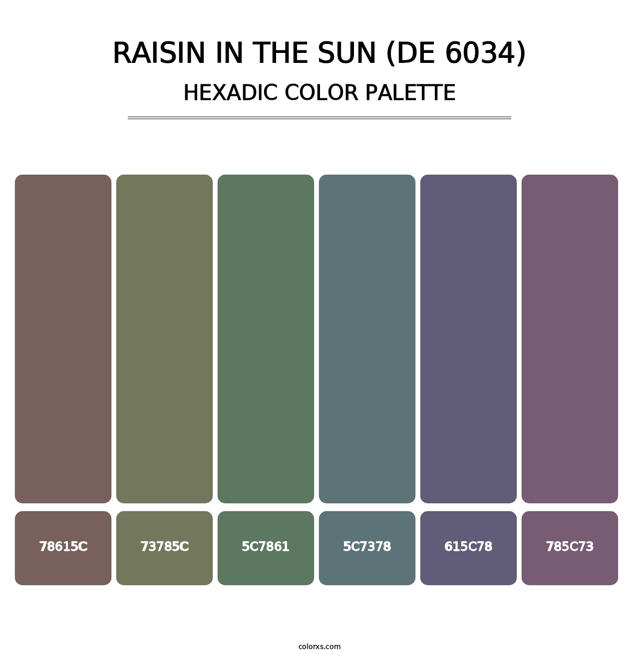 Raisin in the Sun (DE 6034) - Hexadic Color Palette