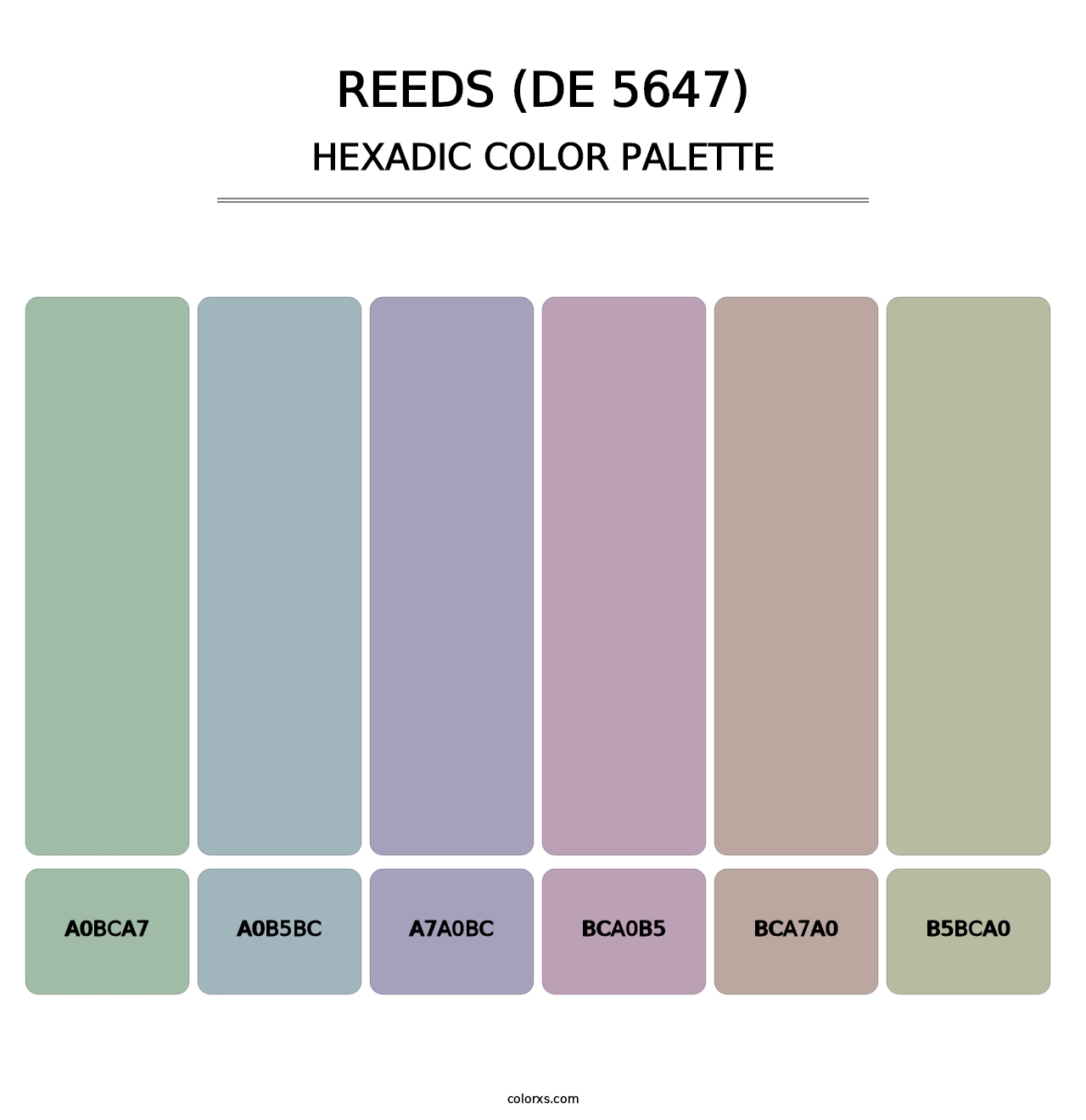 Reeds (DE 5647) - Hexadic Color Palette