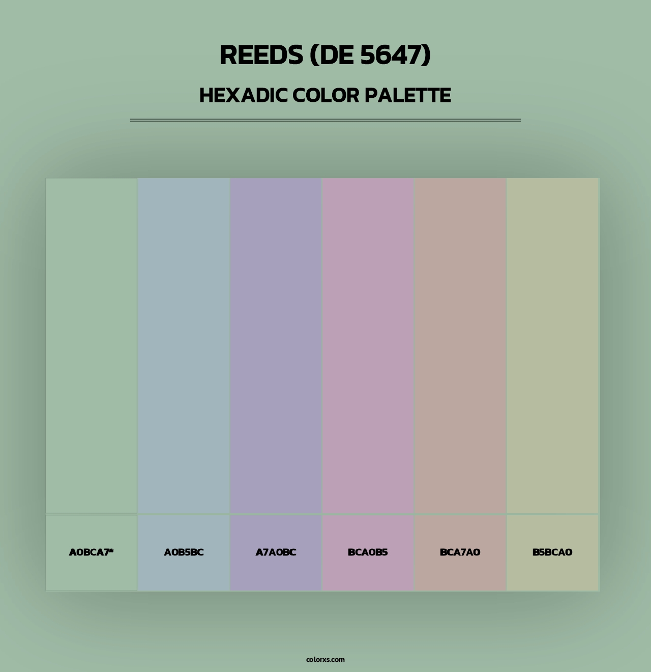Reeds (DE 5647) - Hexadic Color Palette