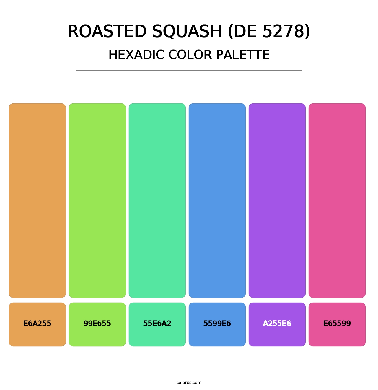 Roasted Squash (DE 5278) - Hexadic Color Palette
