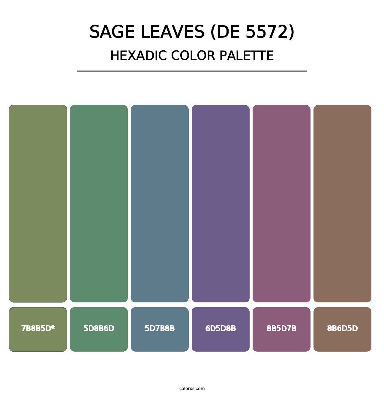 Sage Leaves (DE 5572) - Hexadic Color Palette