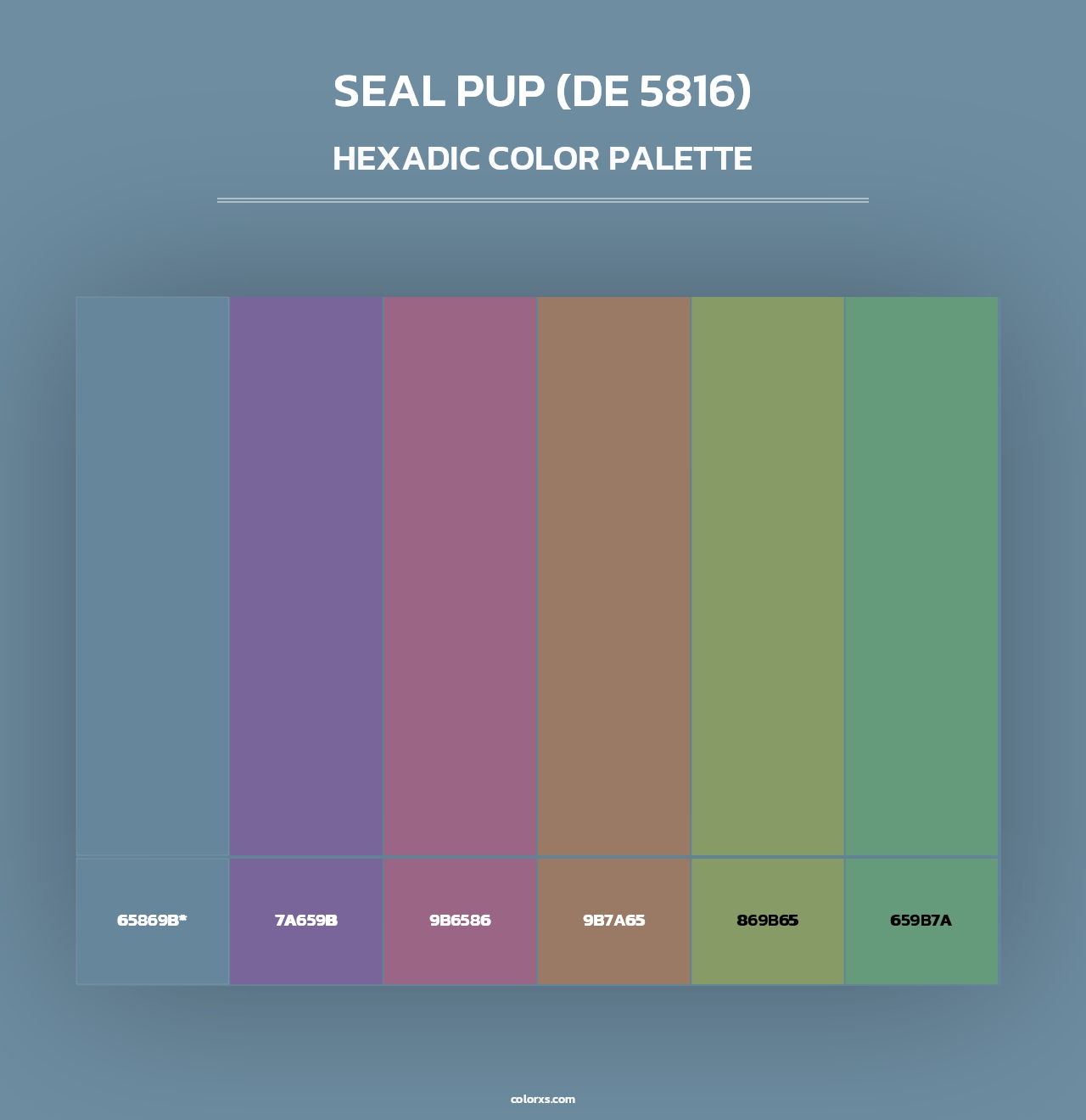 Seal Pup (DE 5816) - Hexadic Color Palette