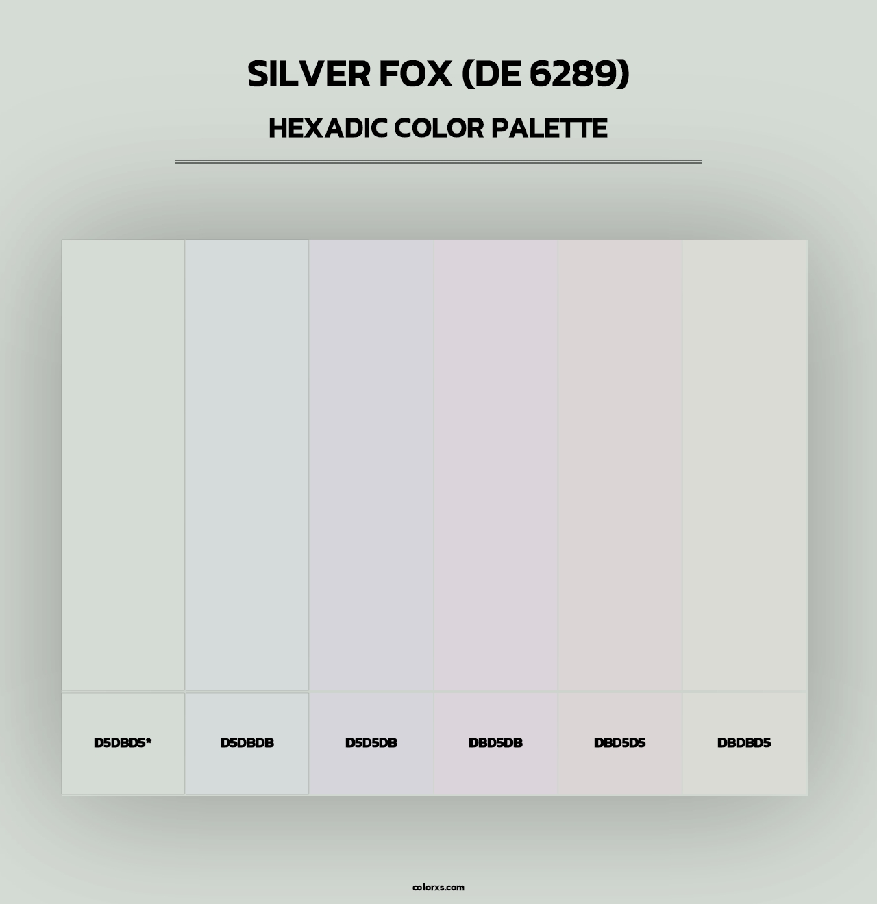 Silver Fox (DE 6289) - Hexadic Color Palette