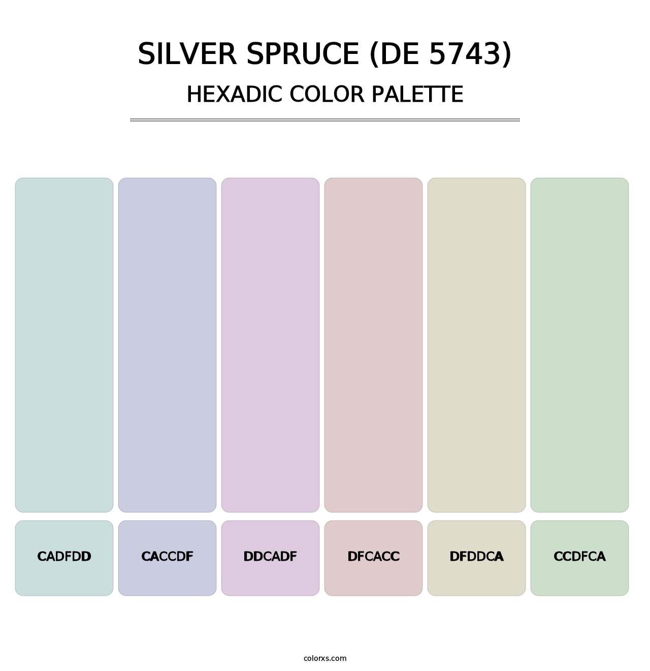 Silver Spruce (DE 5743) - Hexadic Color Palette
