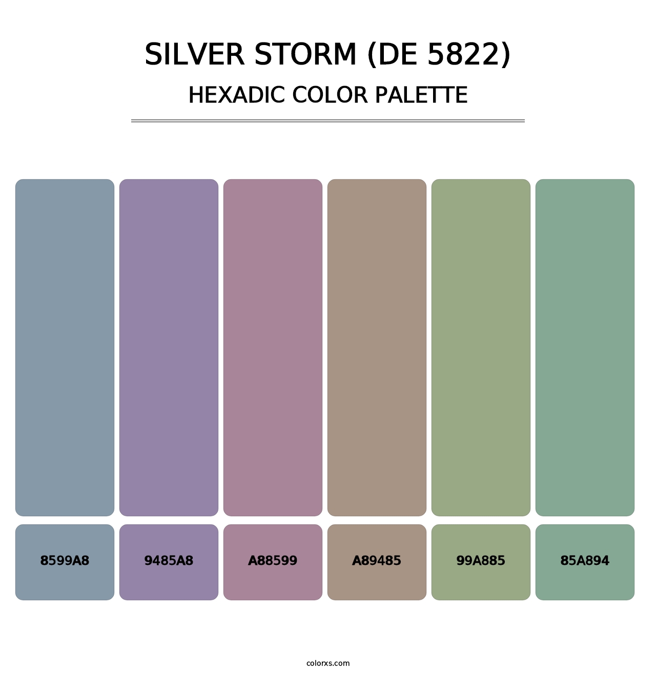 Silver Storm (DE 5822) - Hexadic Color Palette