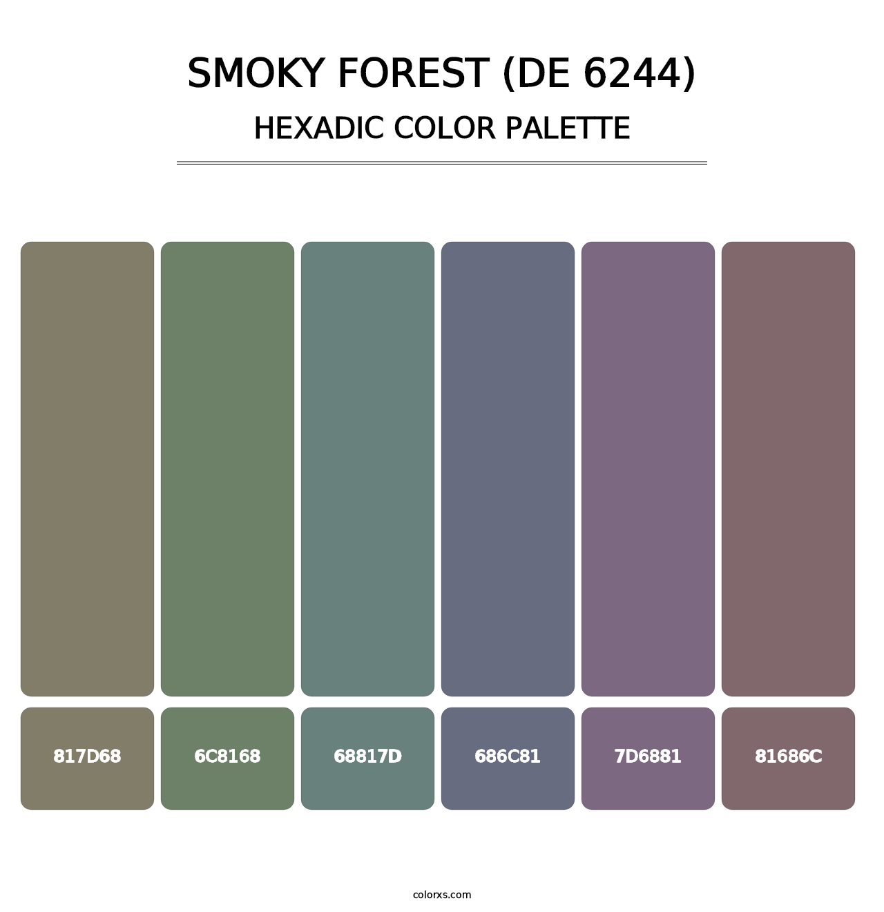 Smoky Forest (DE 6244) - Hexadic Color Palette