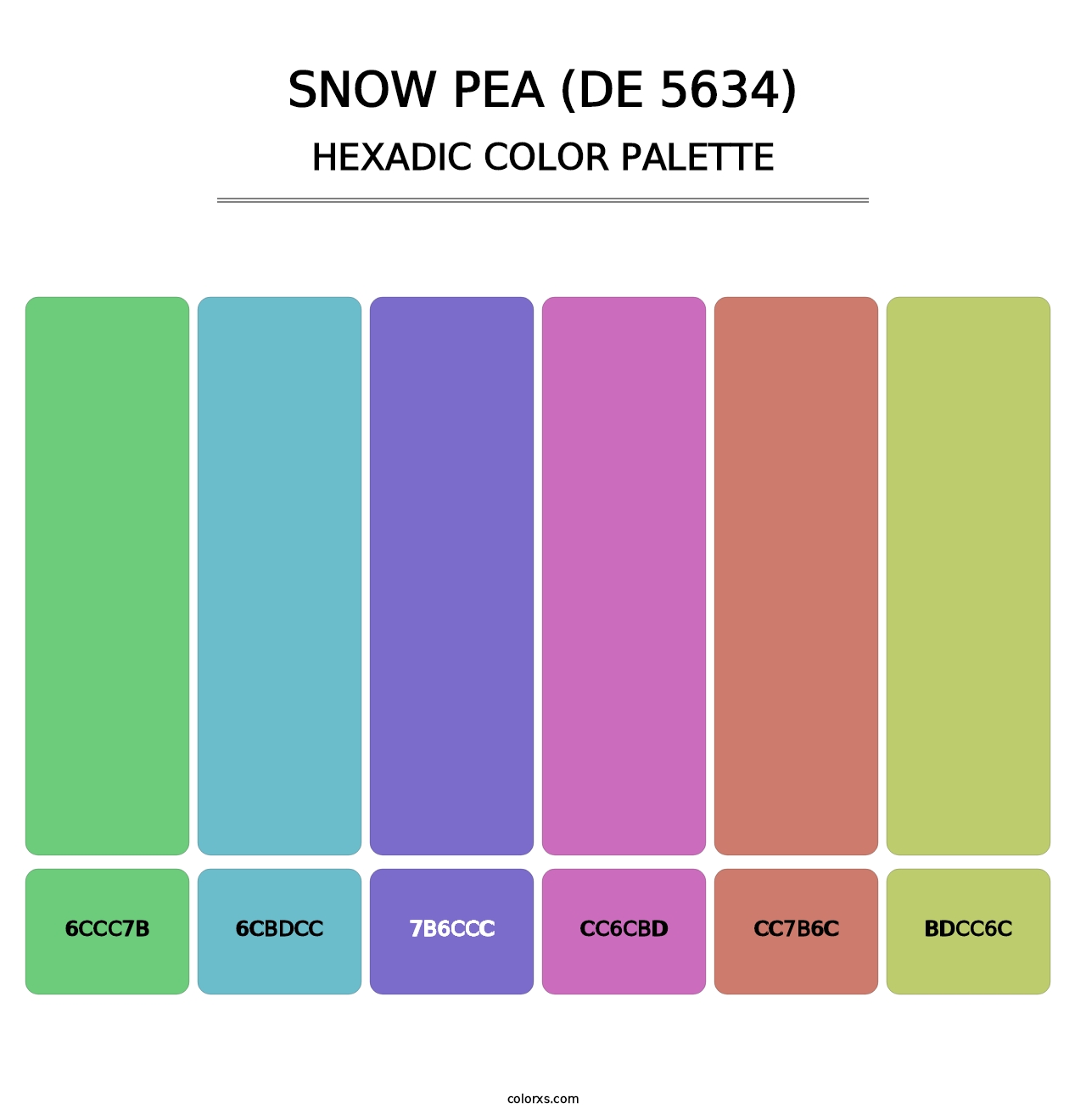 Snow Pea (DE 5634) - Hexadic Color Palette