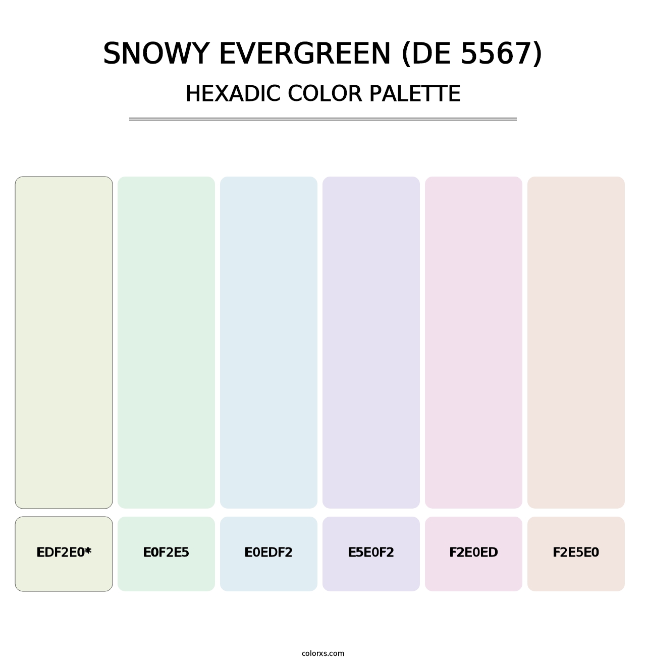 Snowy Evergreen (DE 5567) - Hexadic Color Palette
