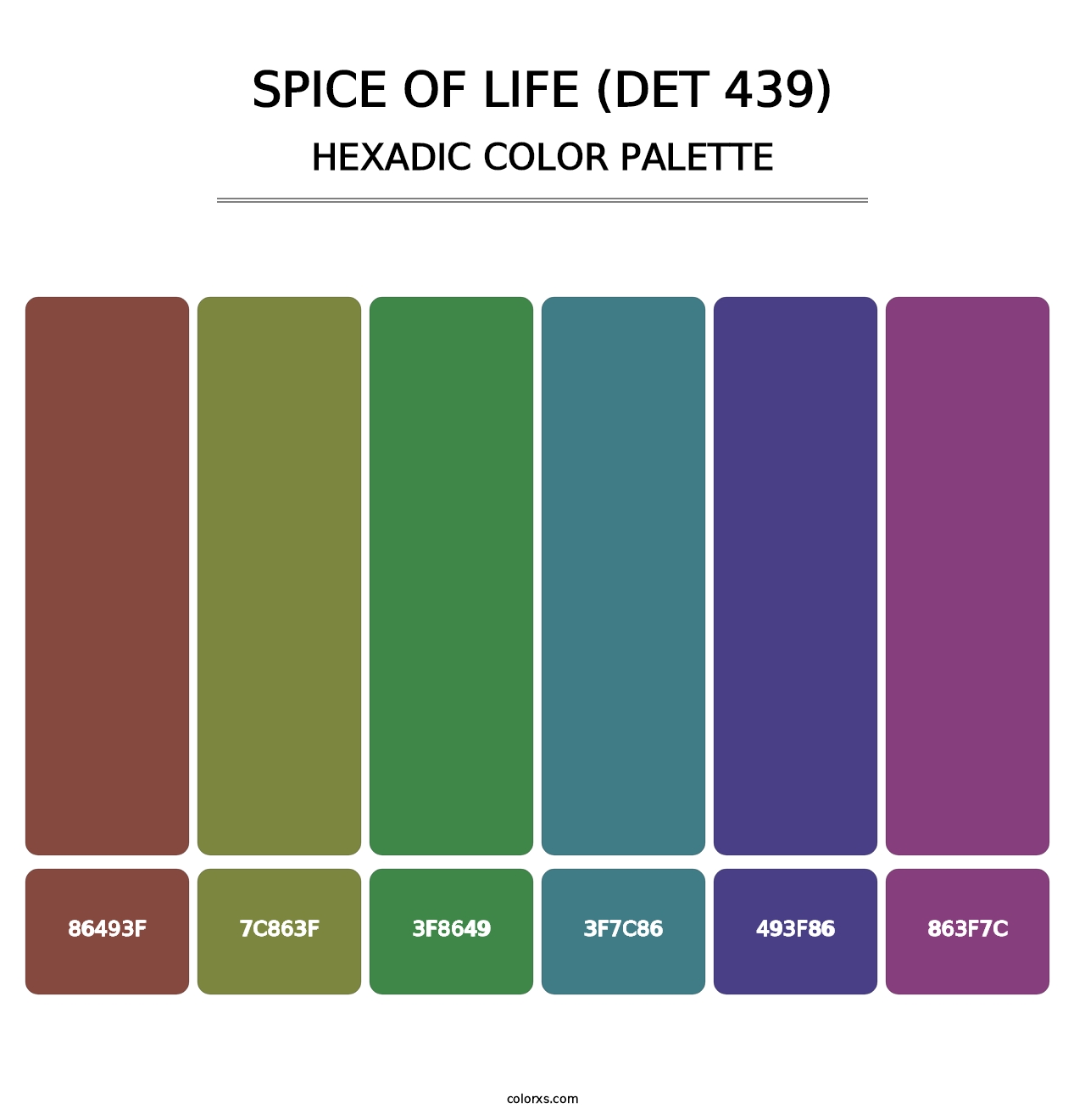 Spice of Life (DET 439) - Hexadic Color Palette