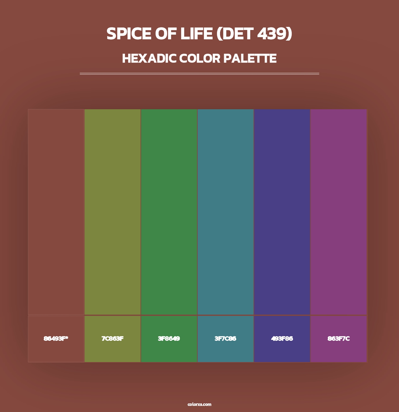 Spice of Life (DET 439) - Hexadic Color Palette