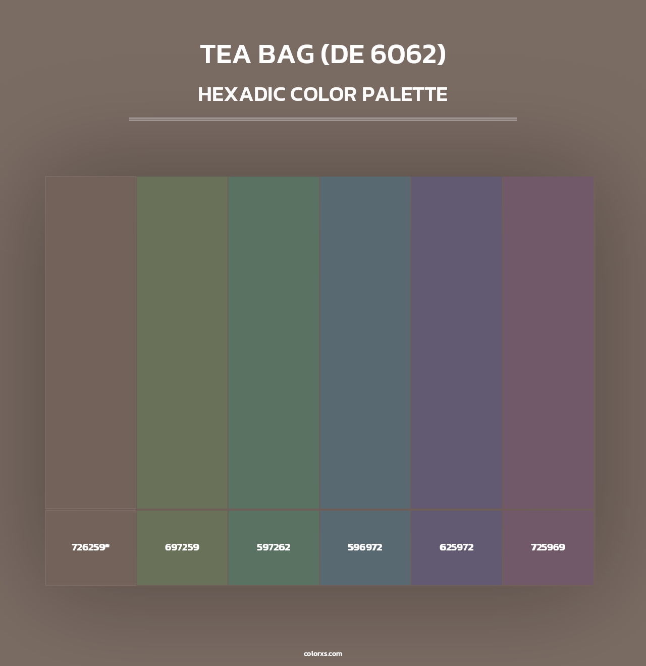 Tea Bag (DE 6062) - Hexadic Color Palette