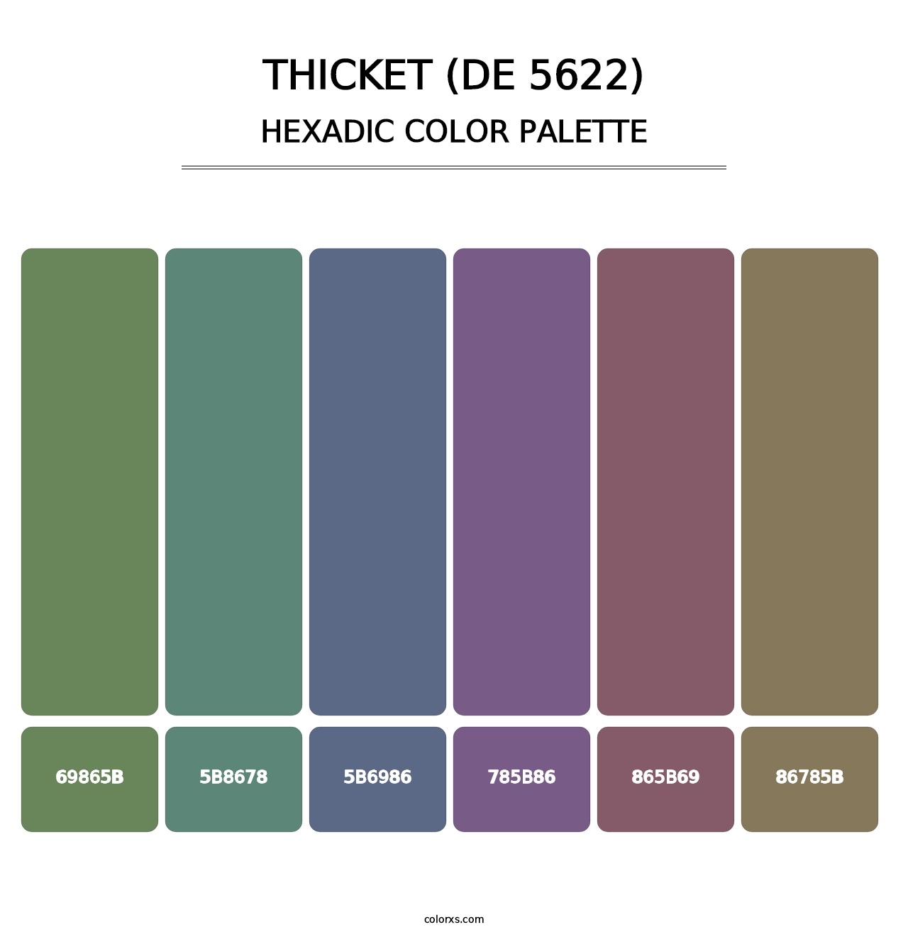 Thicket (DE 5622) - Hexadic Color Palette