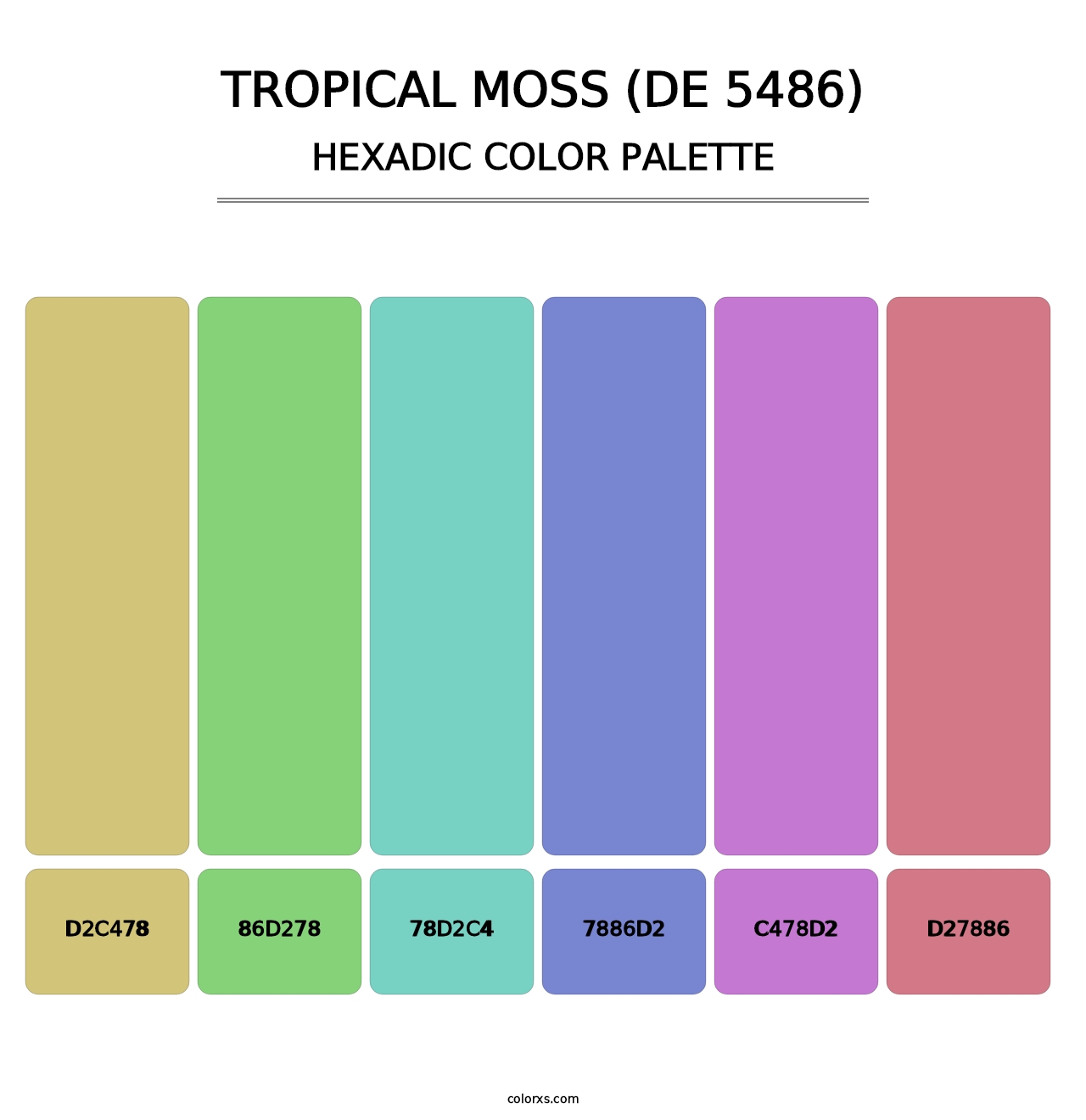 Tropical Moss (DE 5486) - Hexadic Color Palette