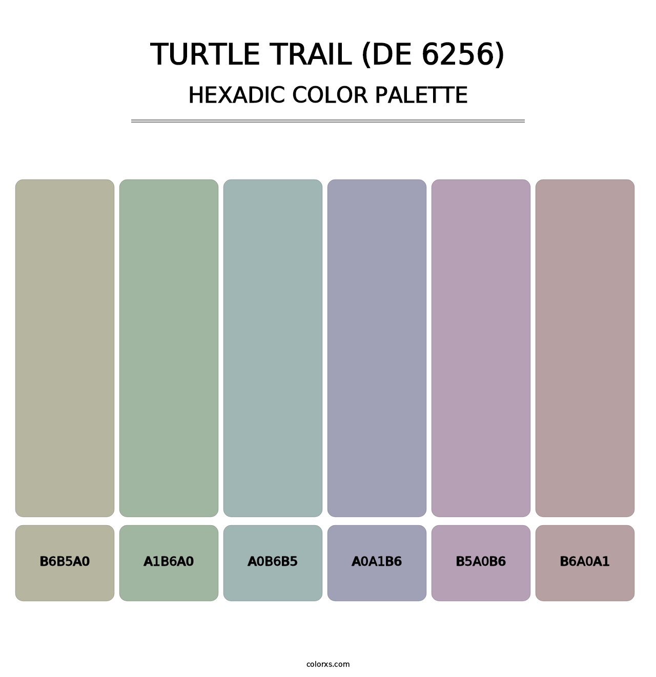 Turtle Trail (DE 6256) - Hexadic Color Palette