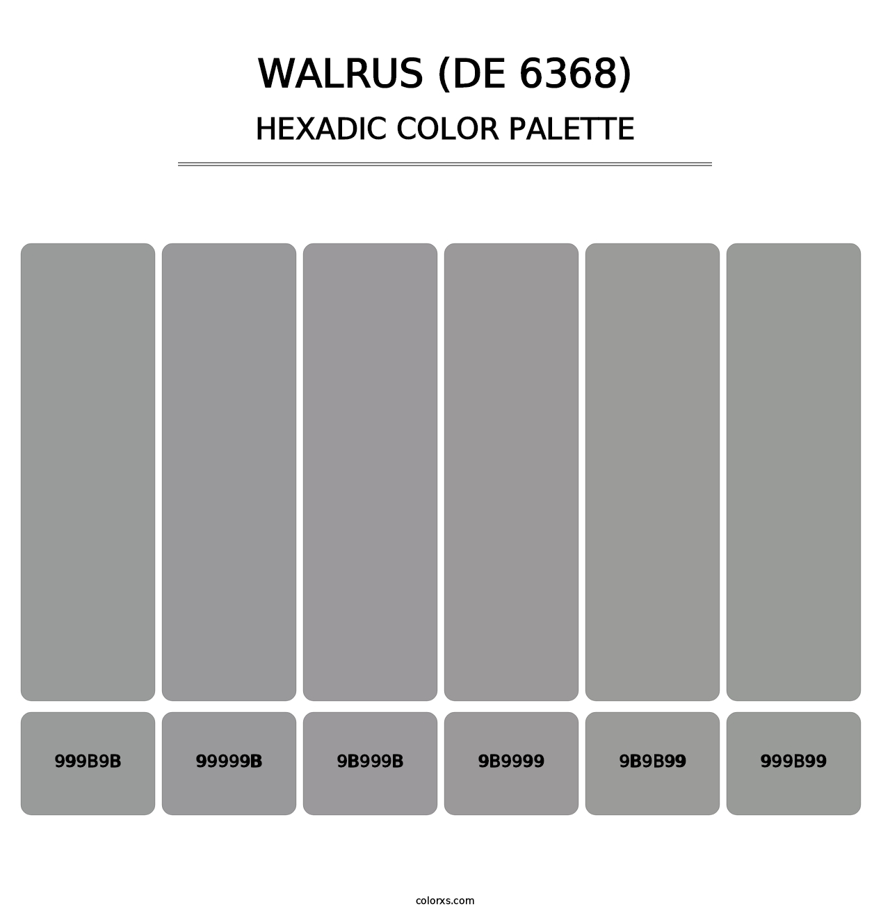 Walrus (DE 6368) - Hexadic Color Palette