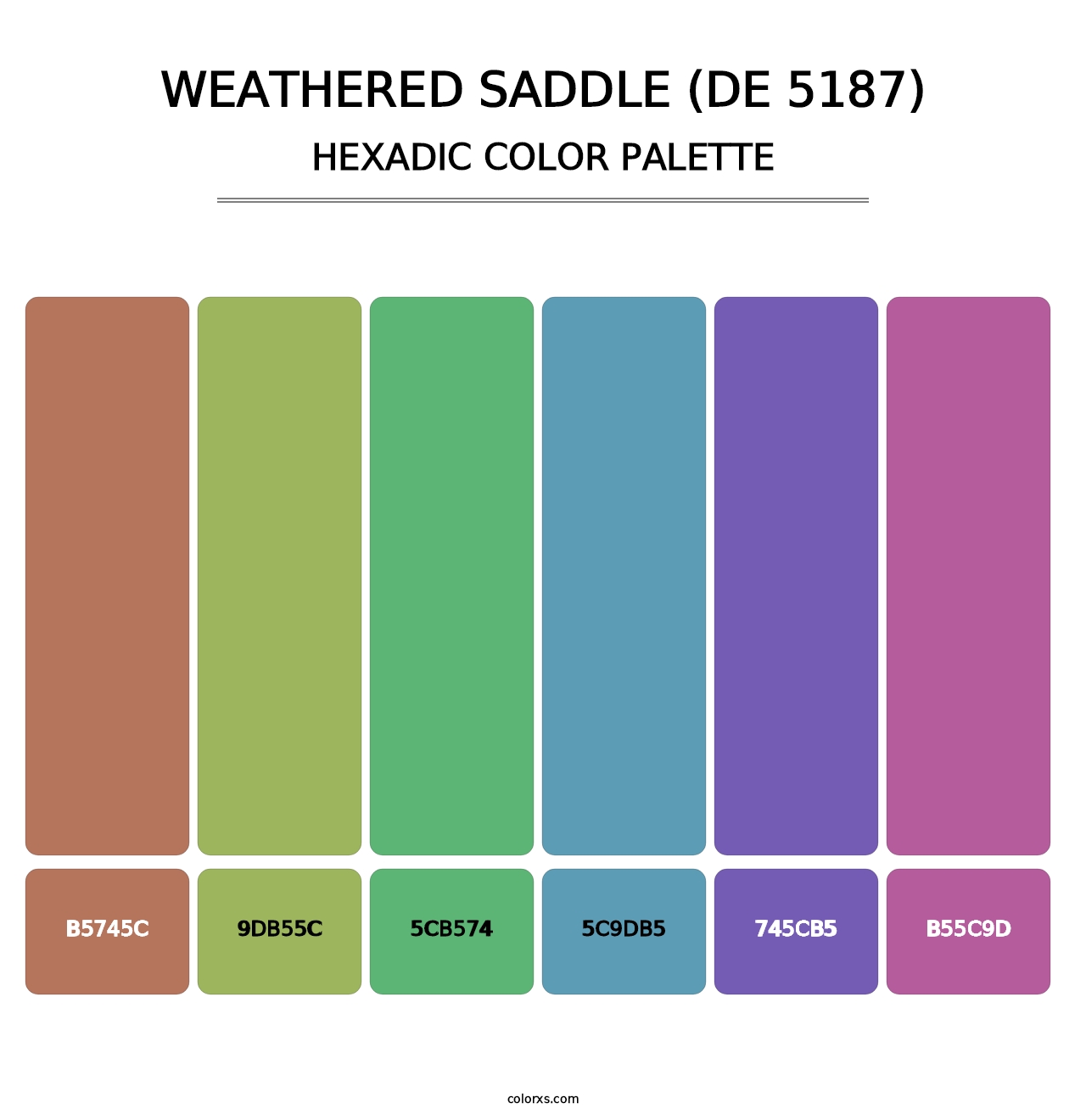 Weathered Saddle (DE 5187) - Hexadic Color Palette