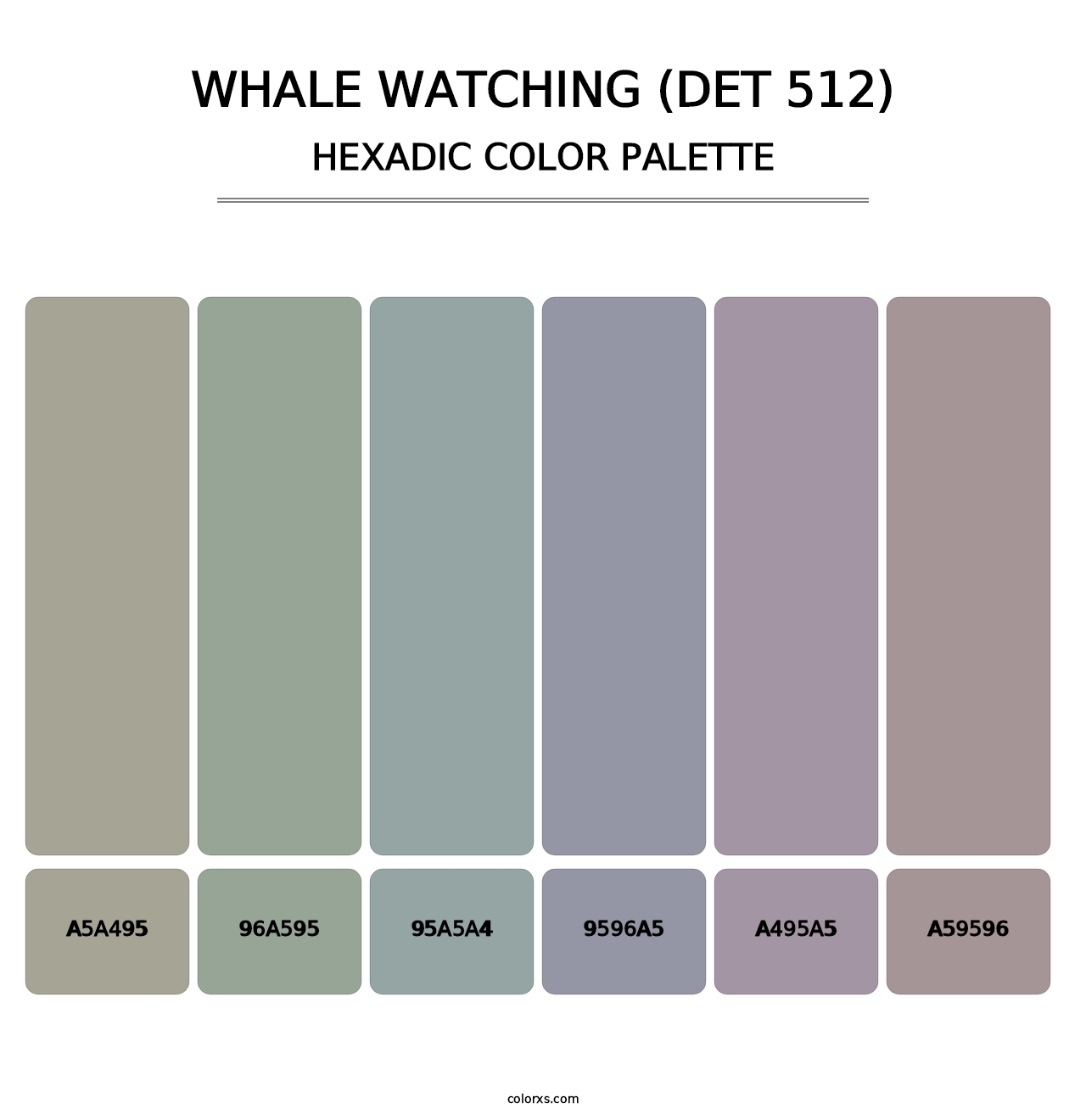 Whale Watching (DET 512) - Hexadic Color Palette
