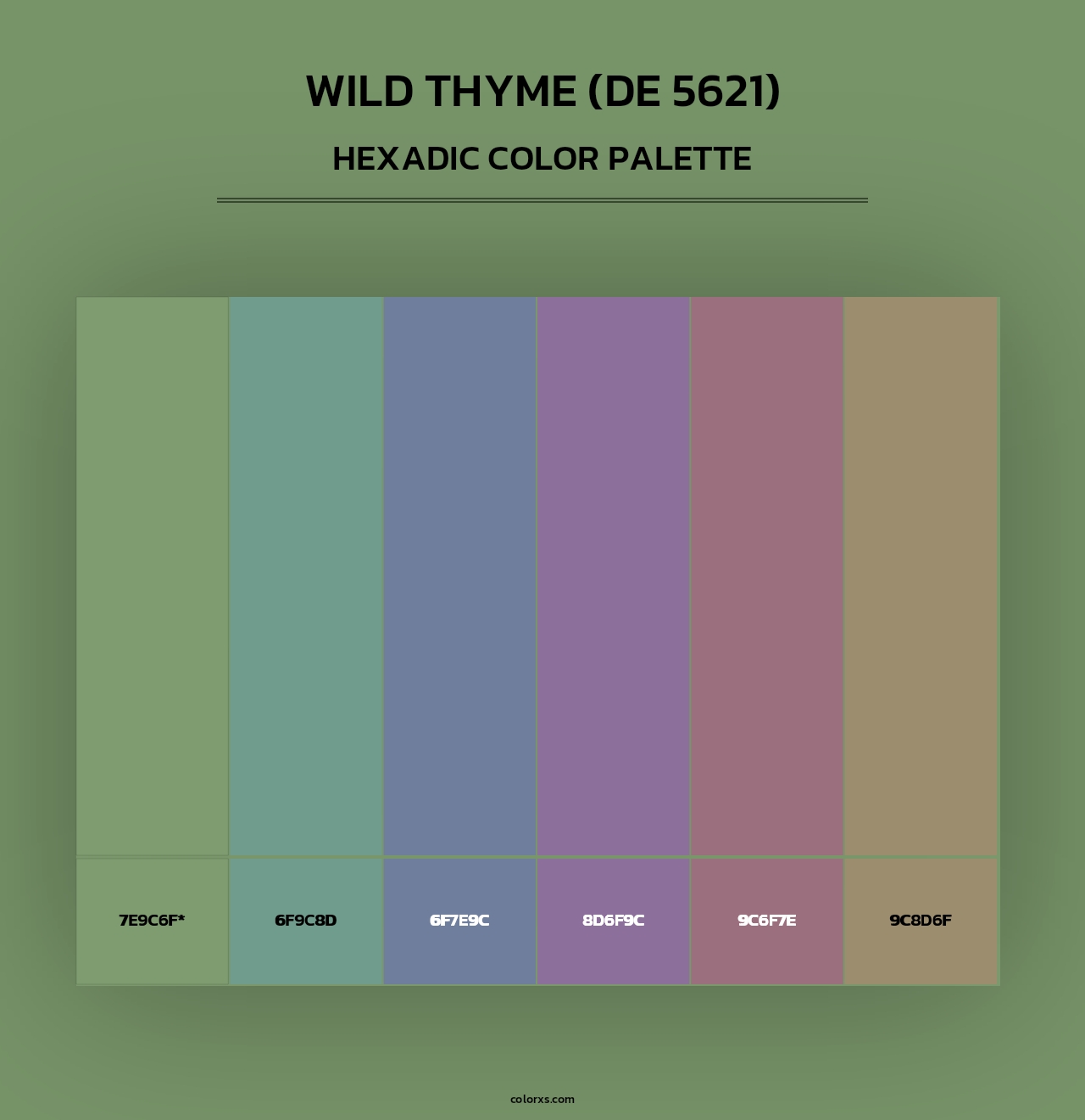 Wild Thyme (DE 5621) - Hexadic Color Palette