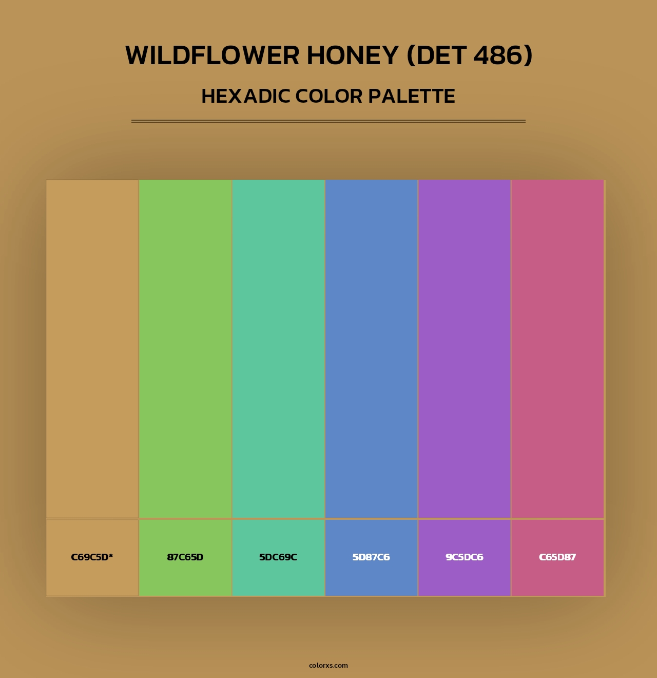 Wildflower Honey (DET 486) - Hexadic Color Palette
