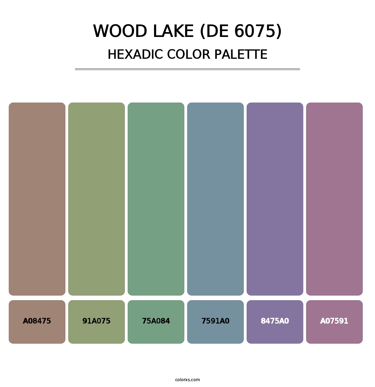 Wood Lake (DE 6075) - Hexadic Color Palette
