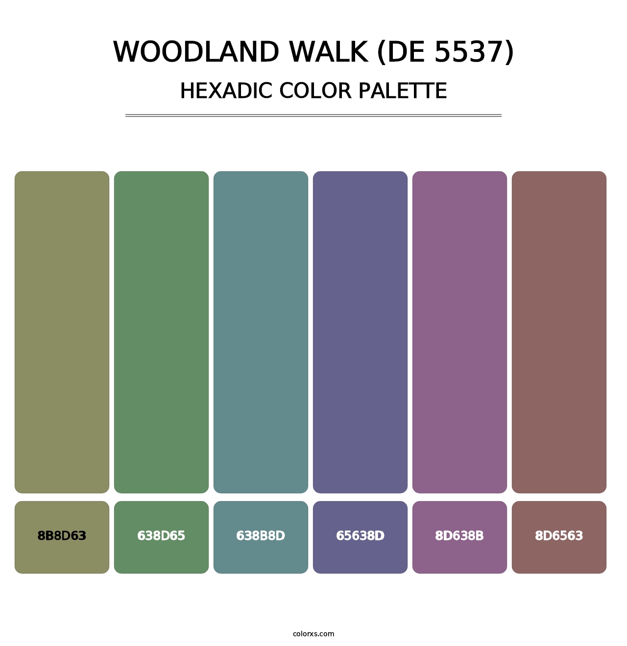 Woodland Walk (DE 5537) - Hexadic Color Palette